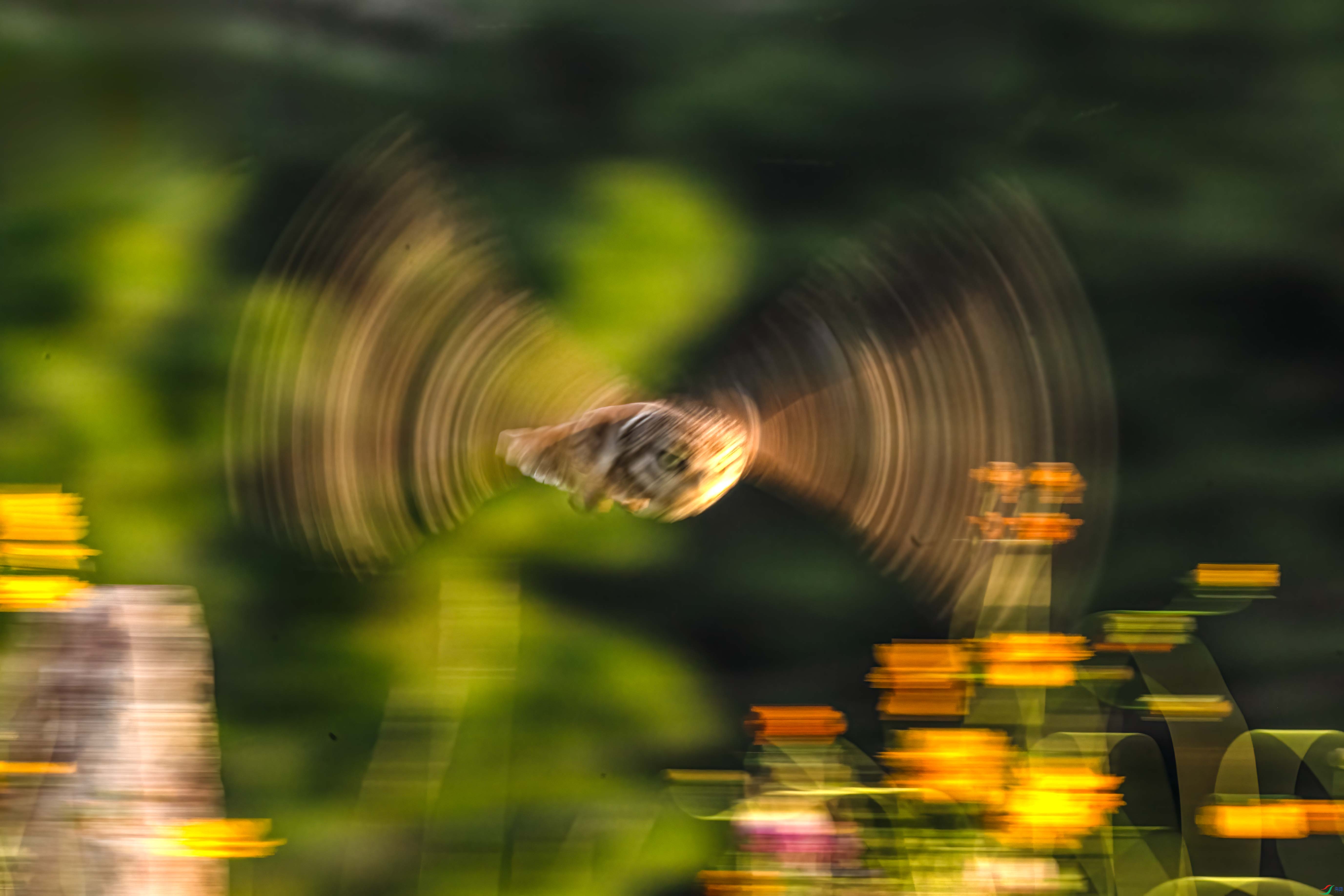 ���Ƹ�С�^