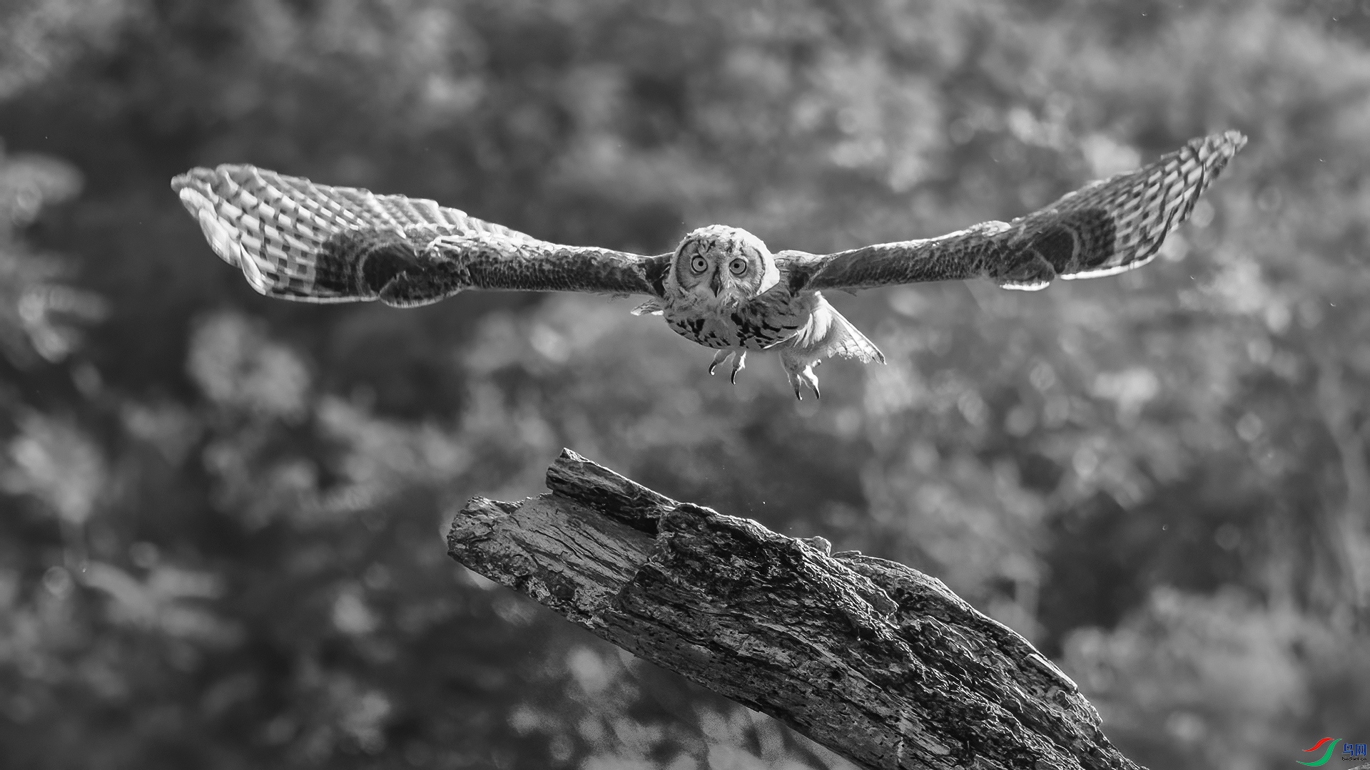 DSC_0101-20260708�ü�.jpg