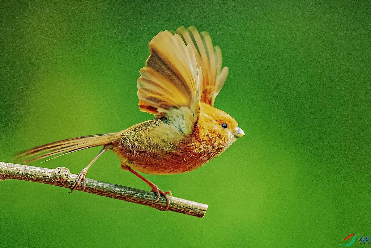 DSC_0304.jpg