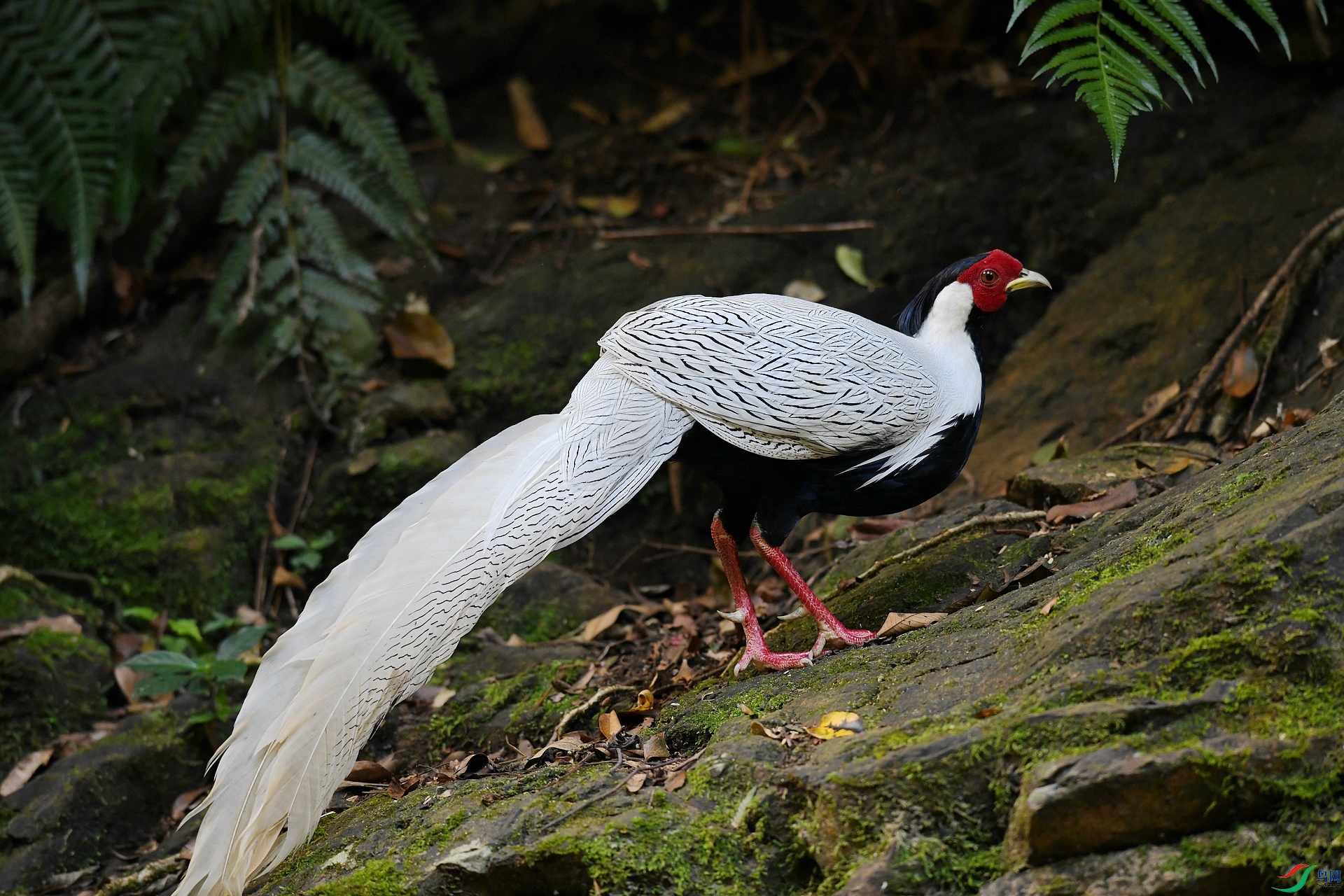DSC_6279.jpg