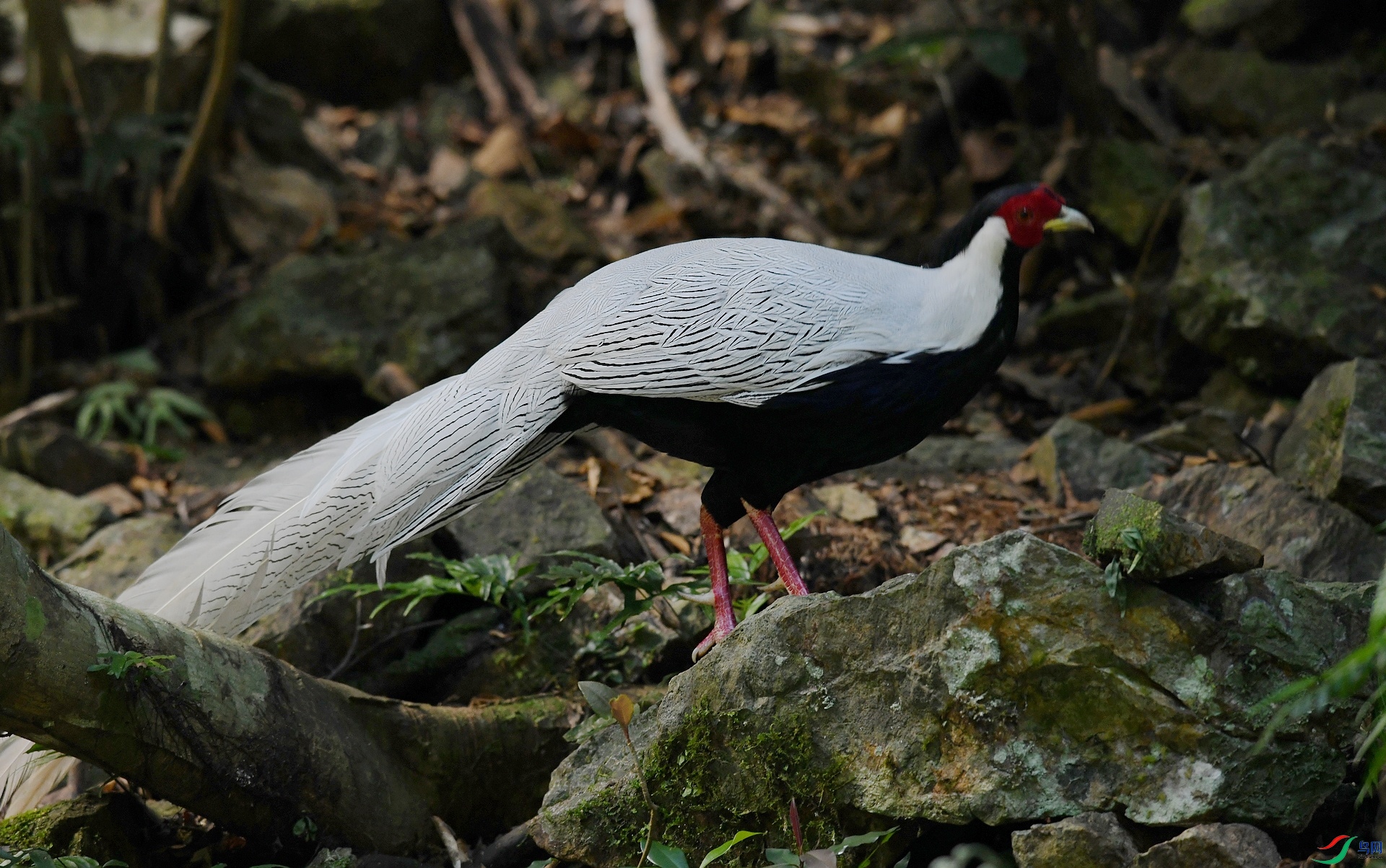 DSC_6272.jpg