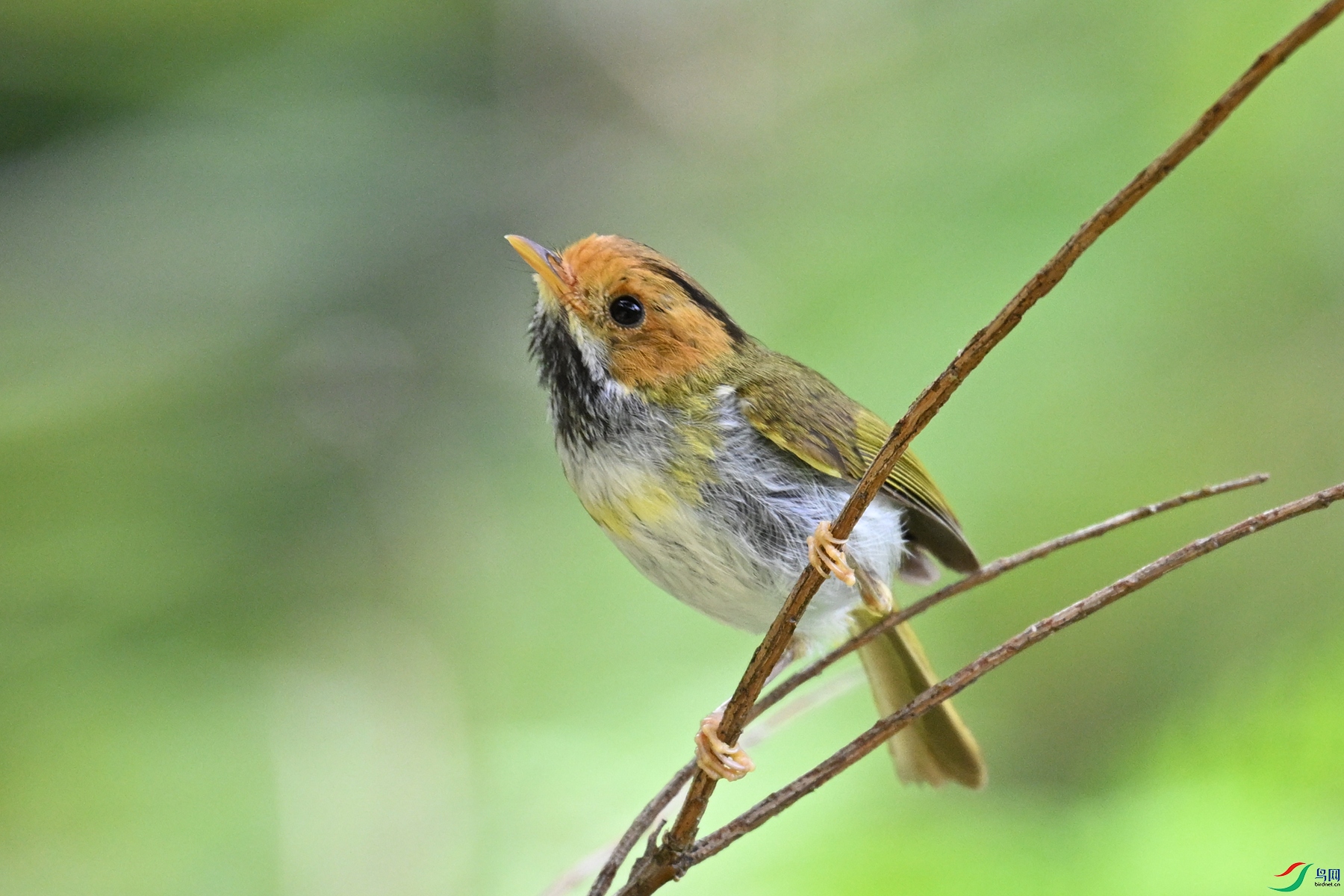 DSC_2196.JPG