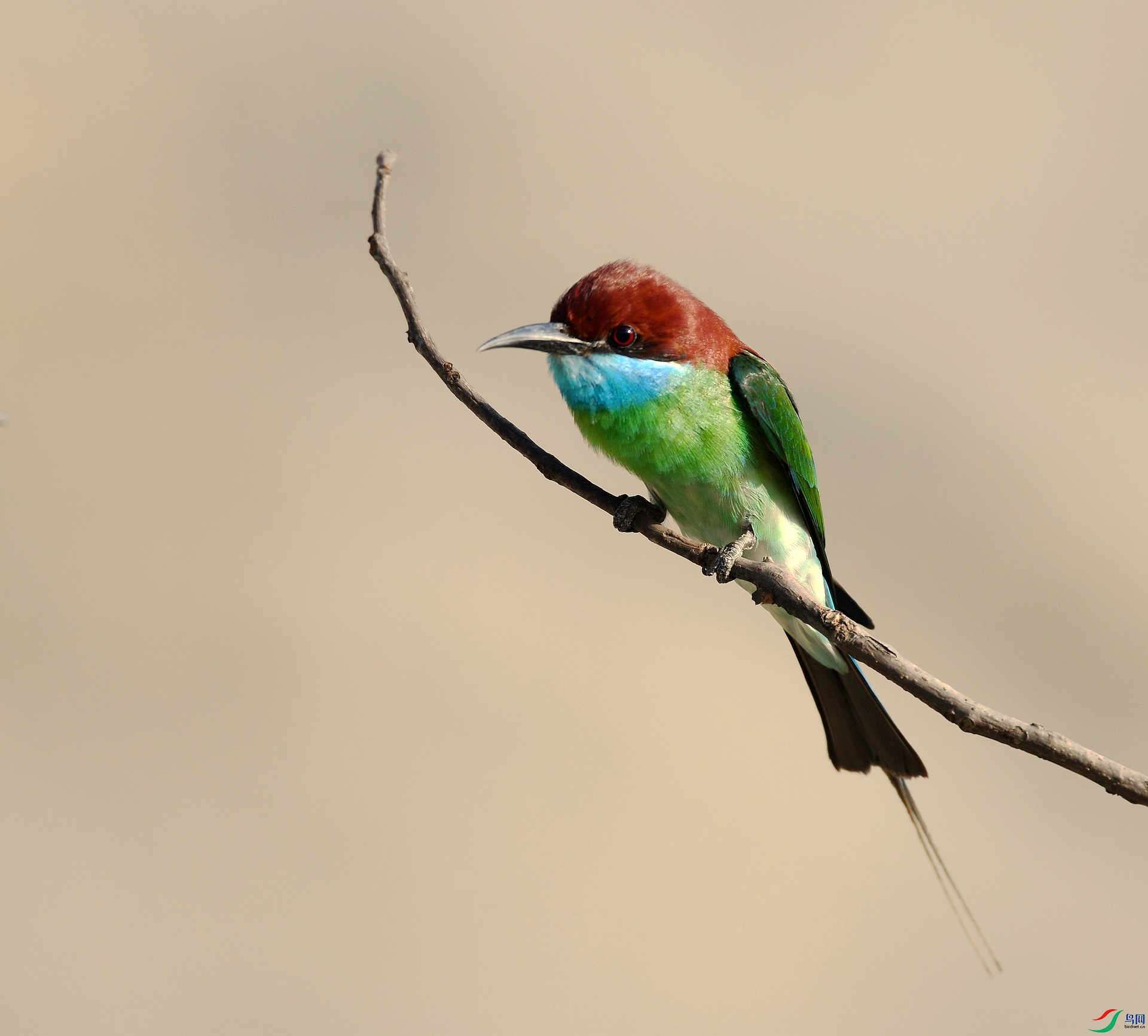 DSC_4443.jpg