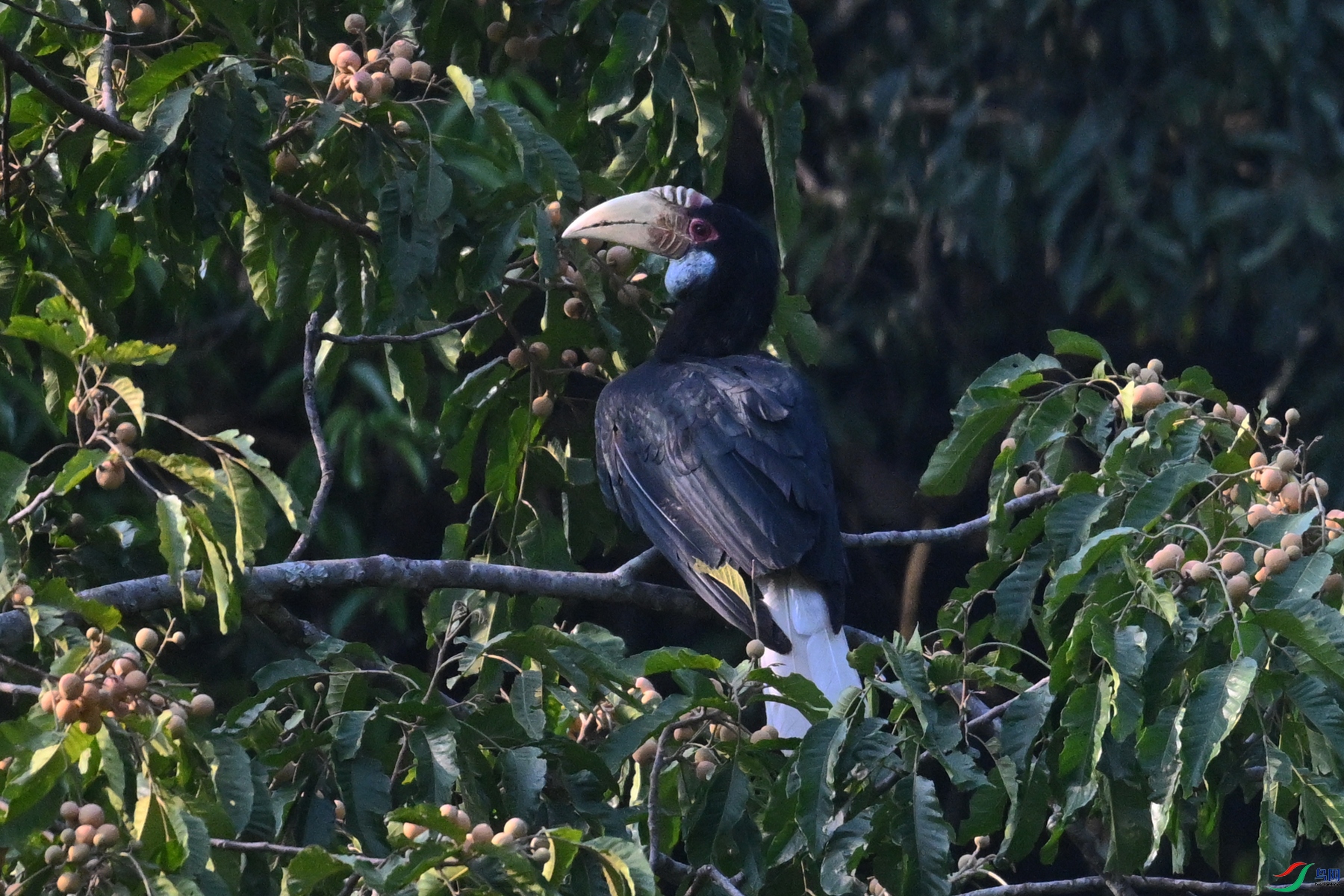 DSC_5258.JPG