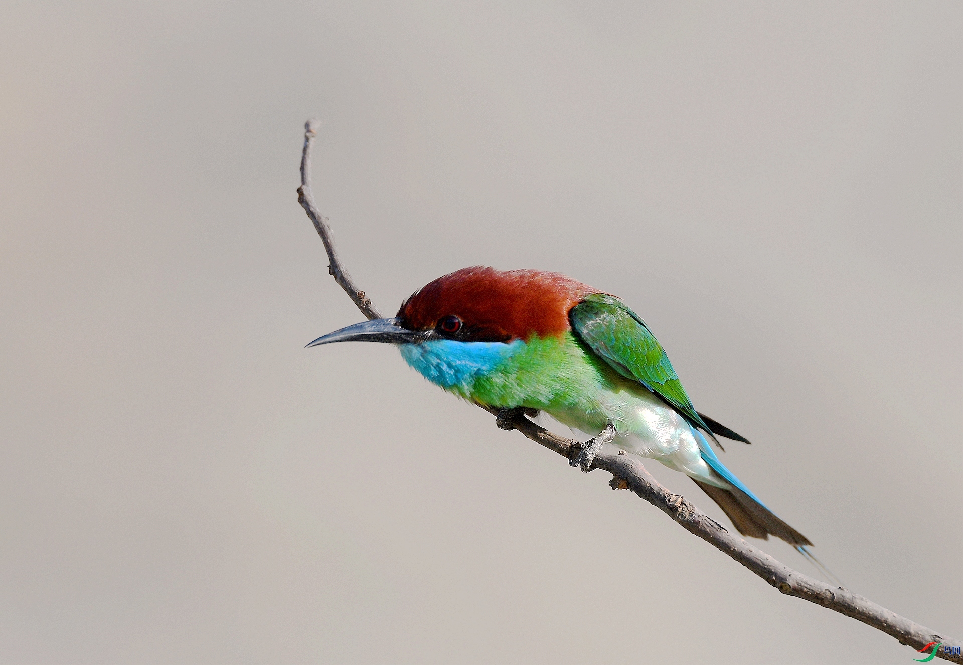 DSC_4442.jpg