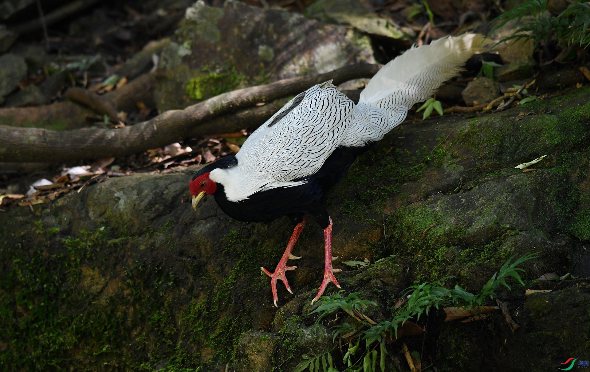 DSC_2149.jpg