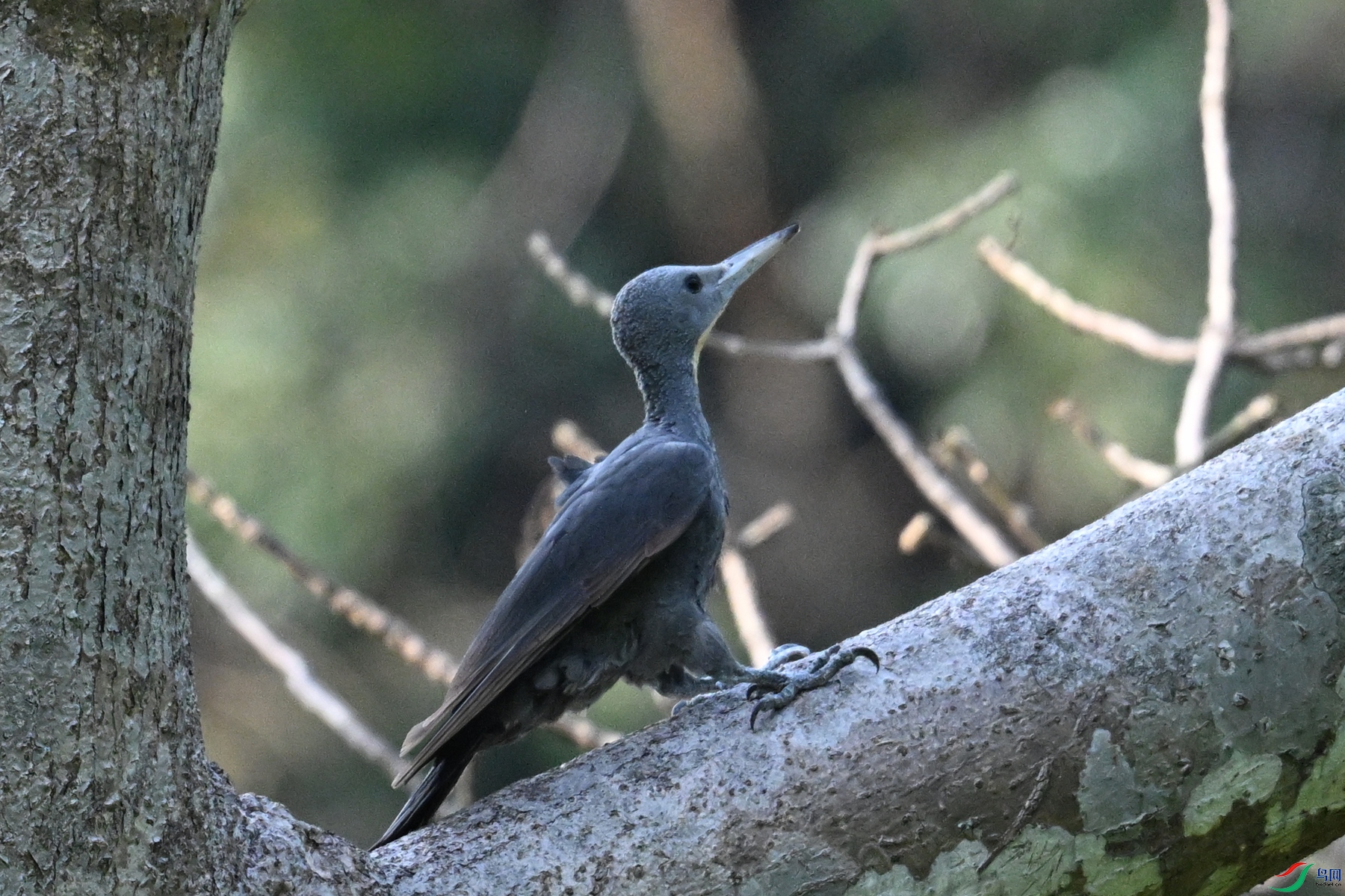 DSC_5311.JPG