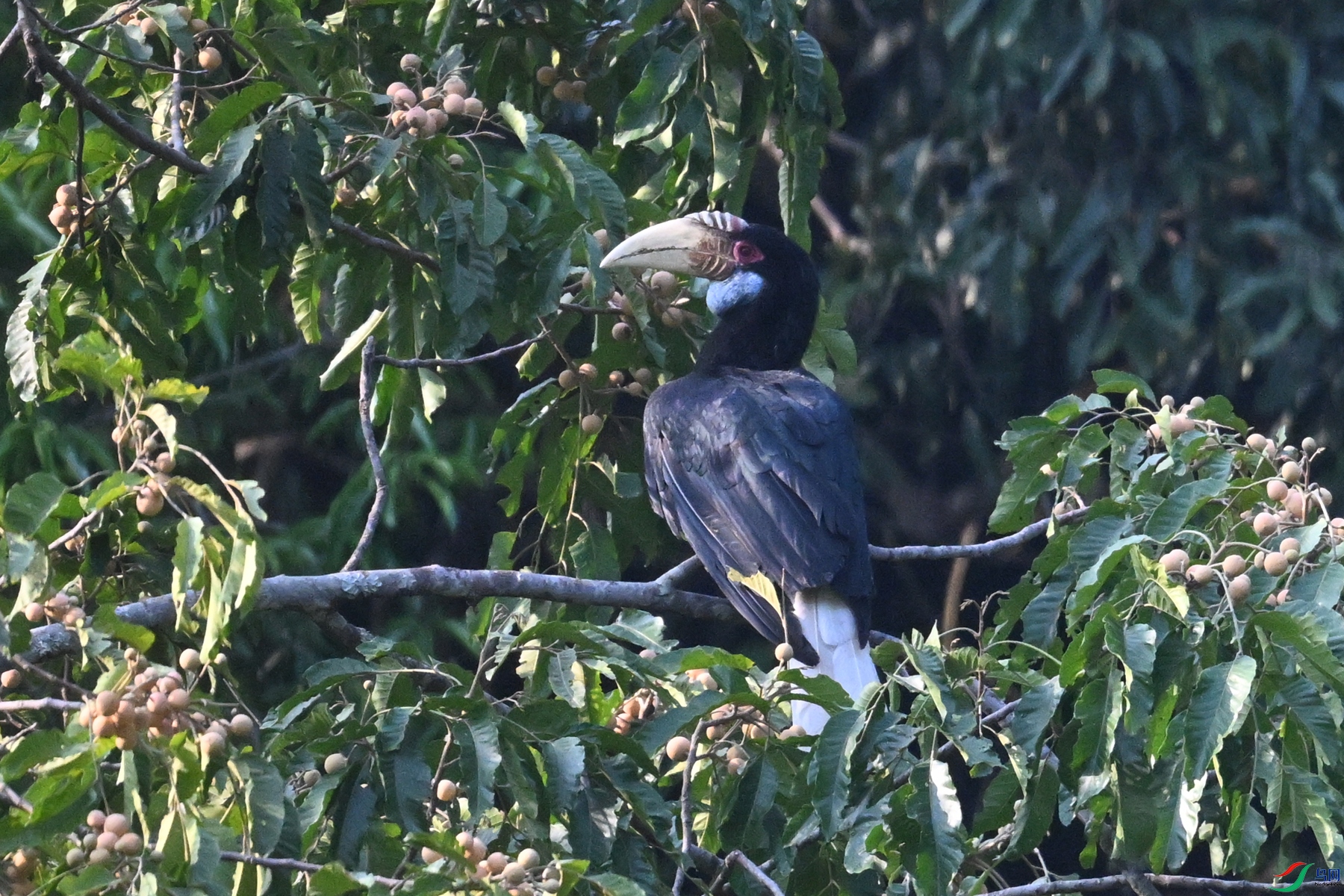 DSC_5261.JPG