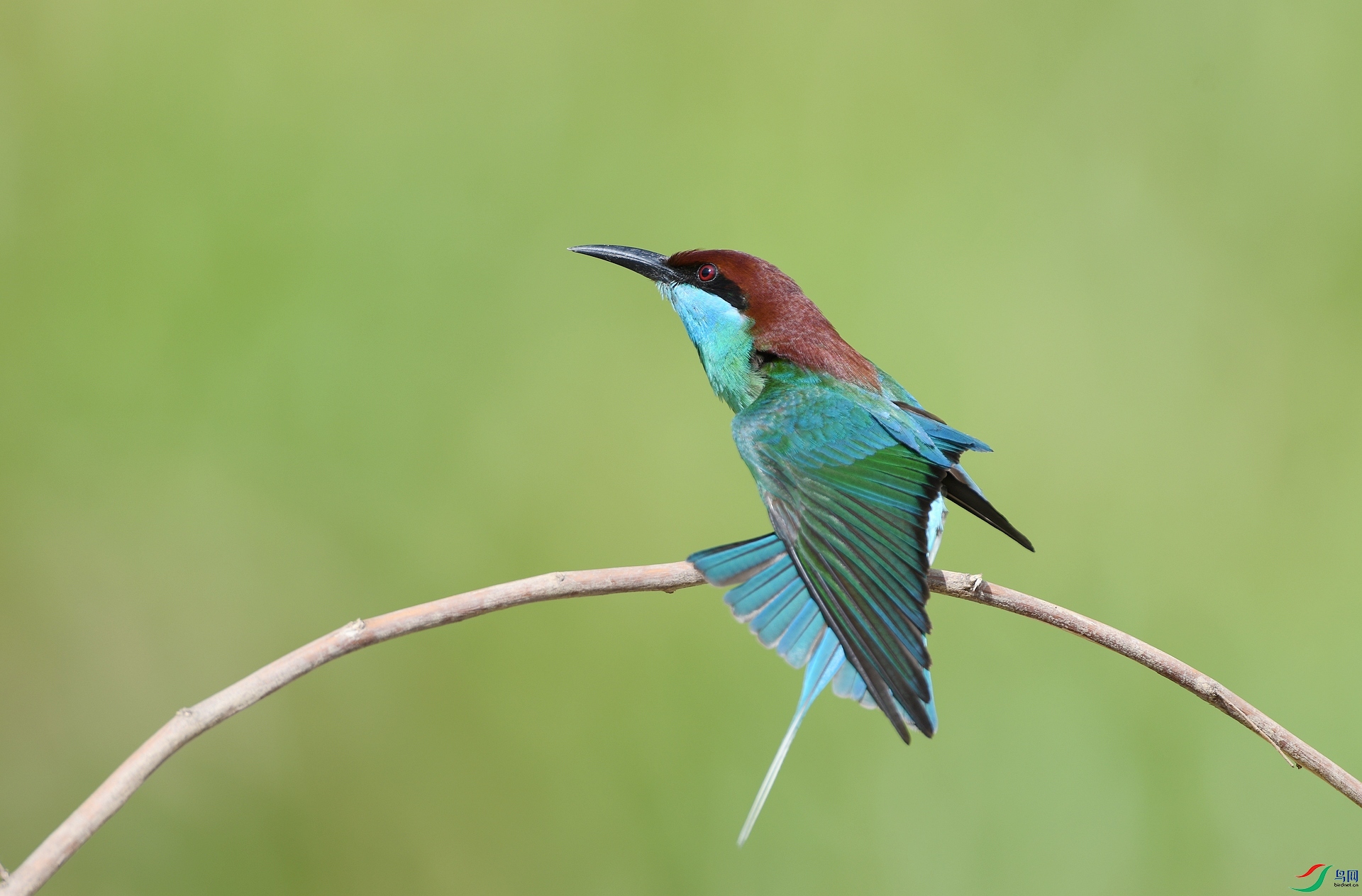 DSC_3583.jpg
