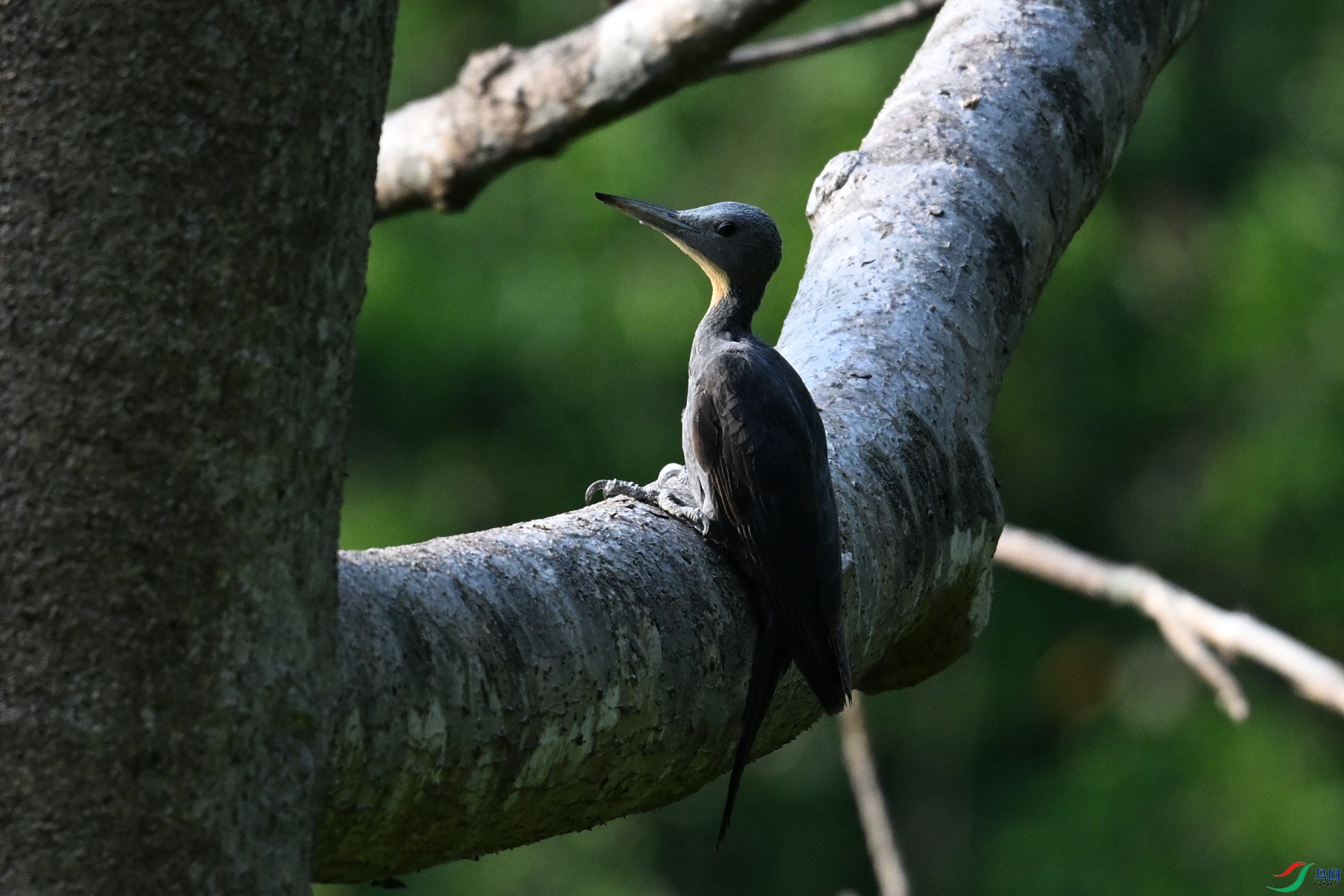 DSC_5296.JPG