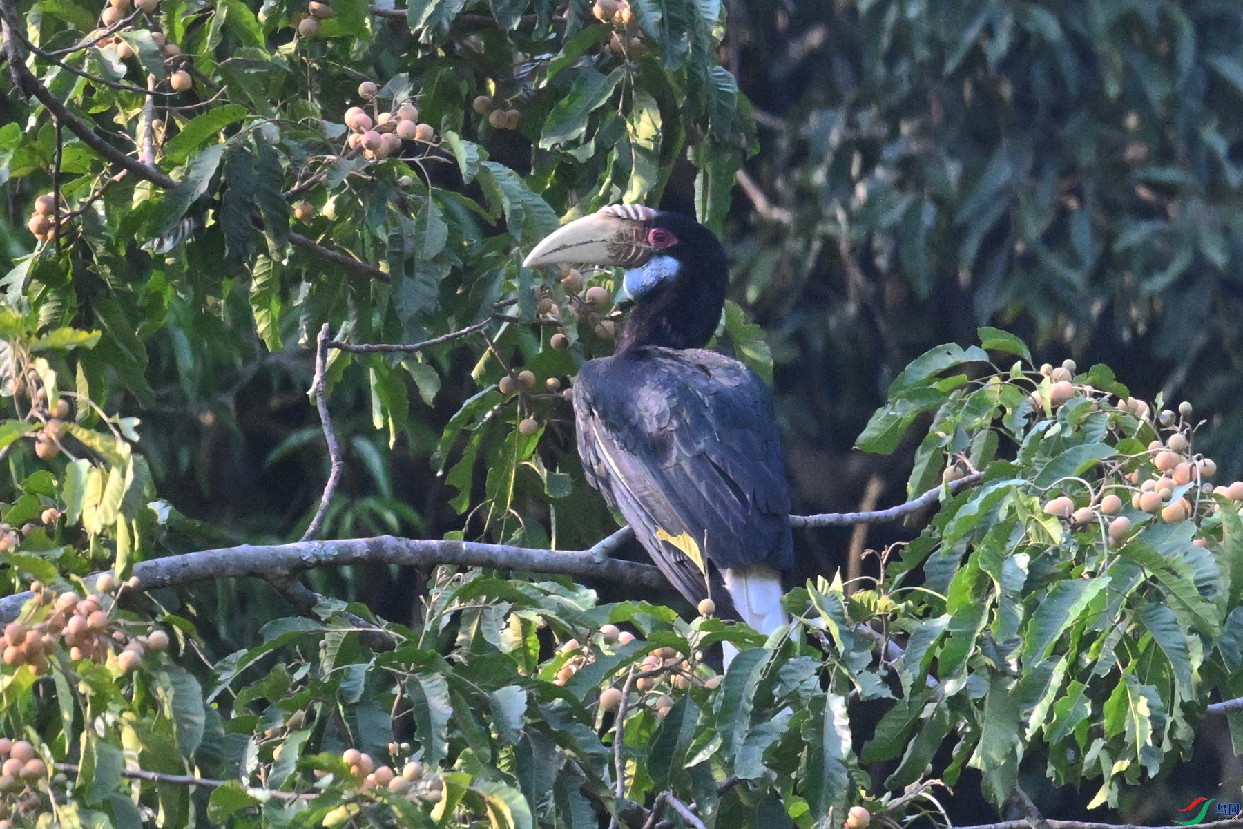 DSC_5263.JPG