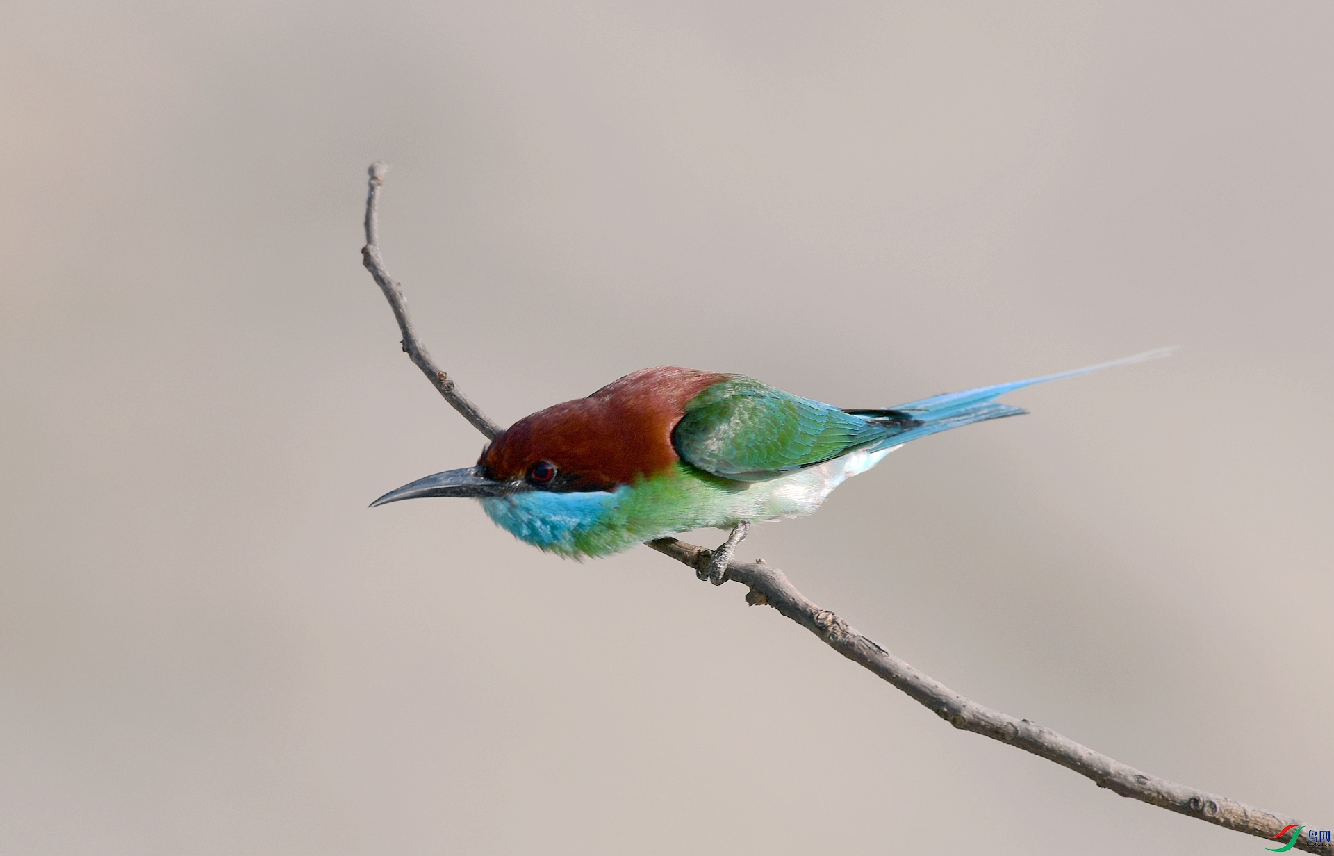 DSC_4441.jpg
