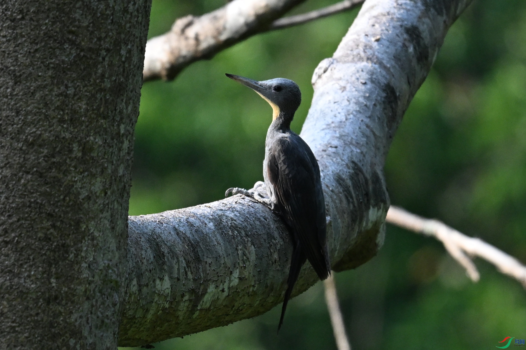 DSC_5298.JPG