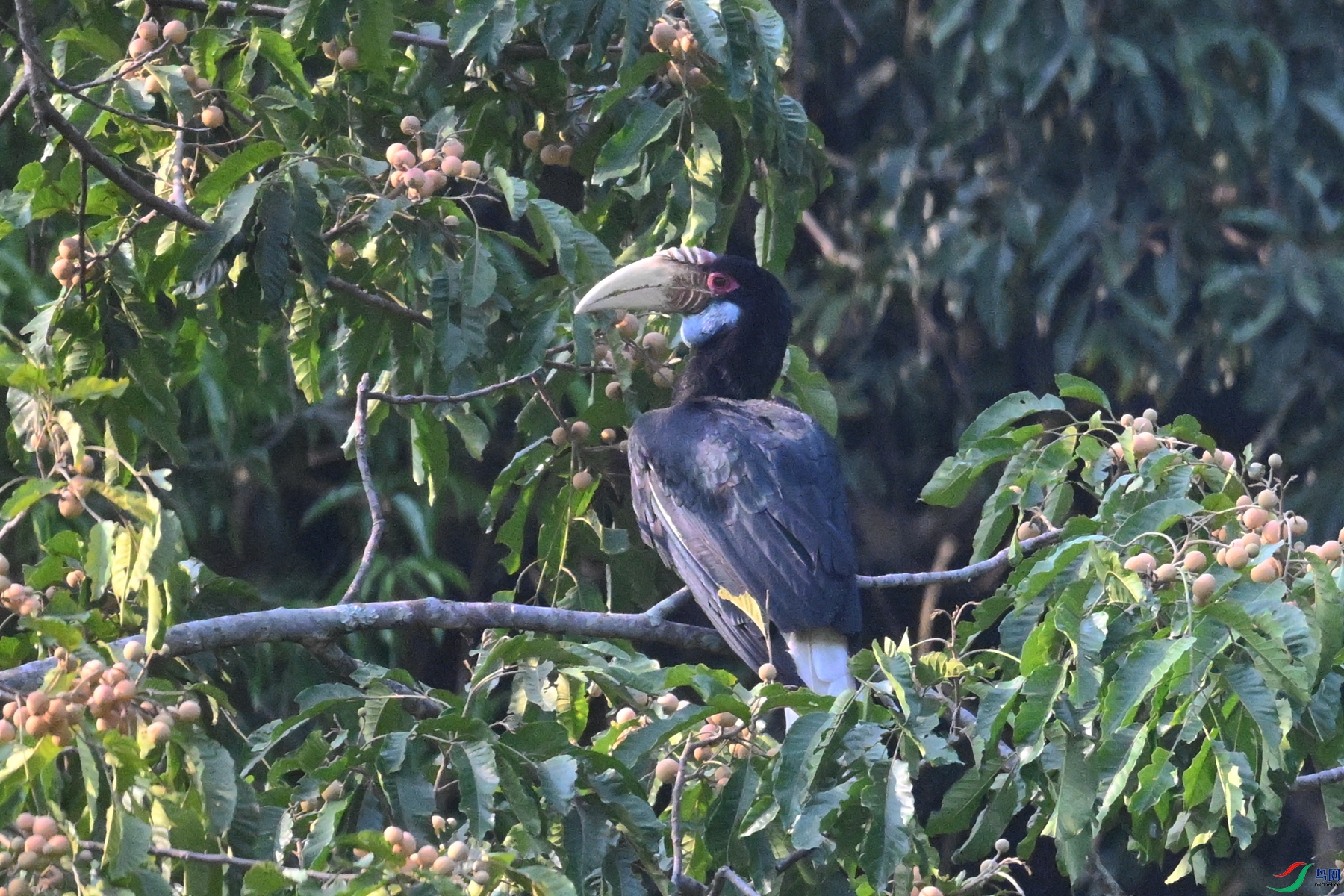 DSC_5264.JPG