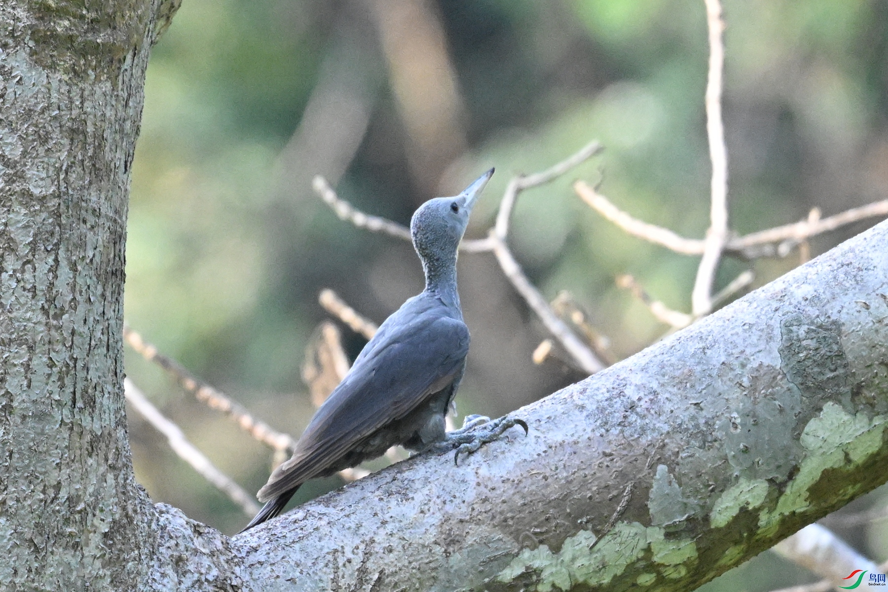 DSC_5317.JPG