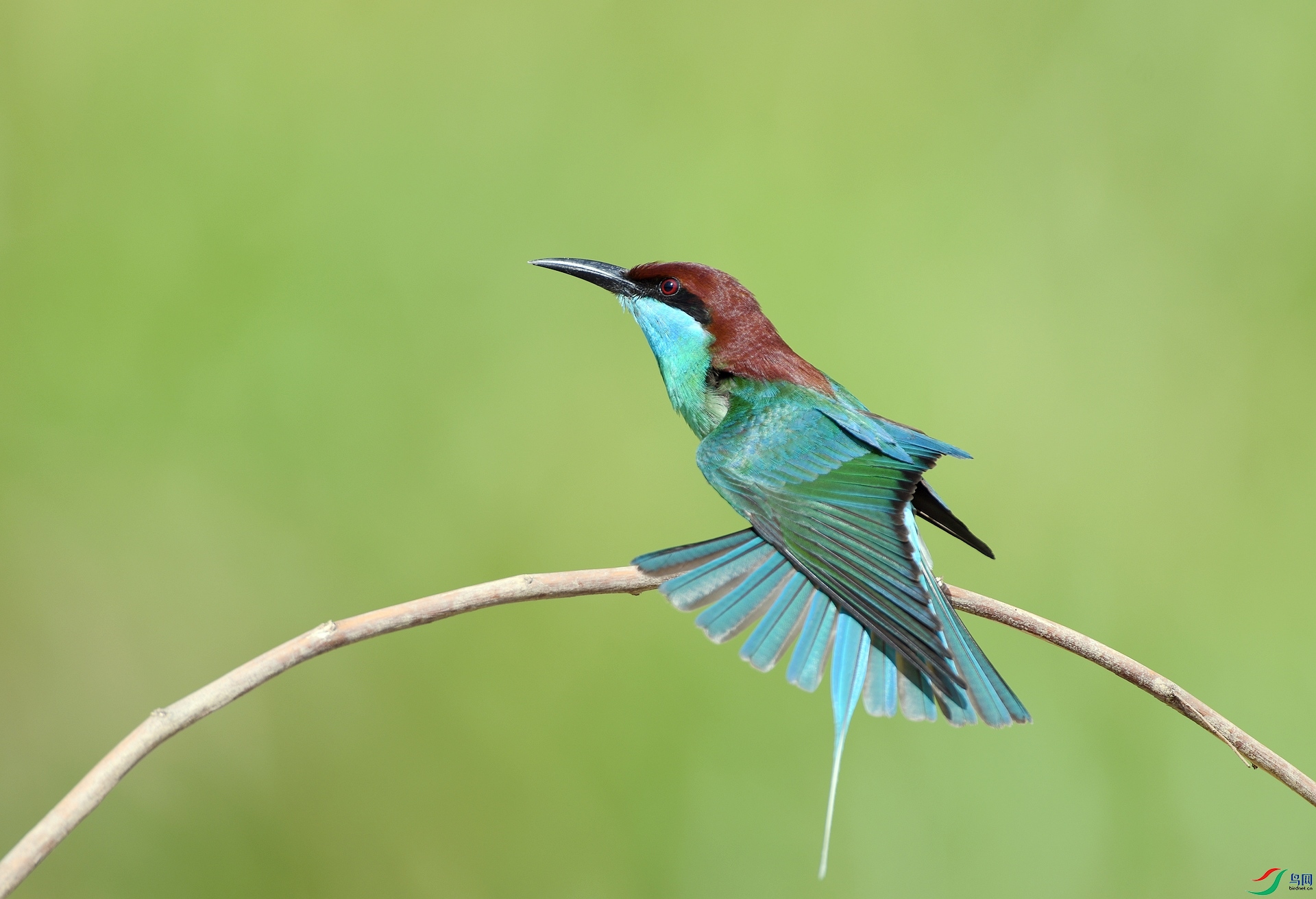 DSC_3581.jpg
