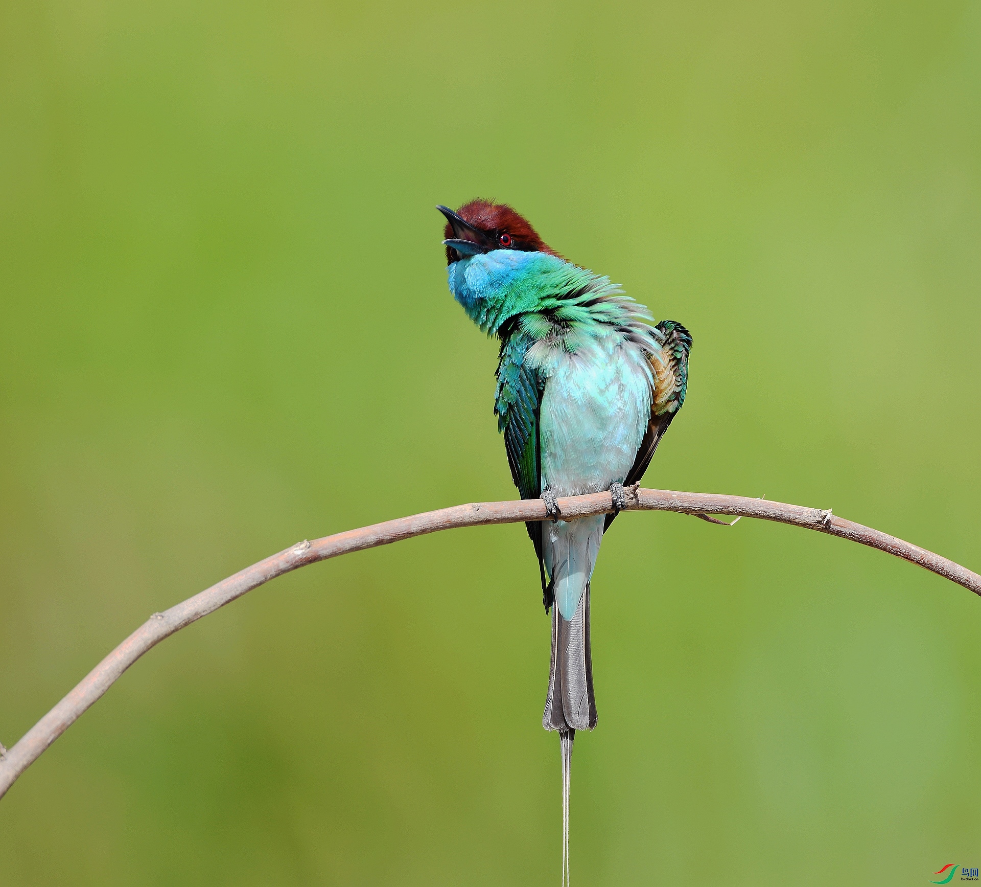 DSC_3730.jpg