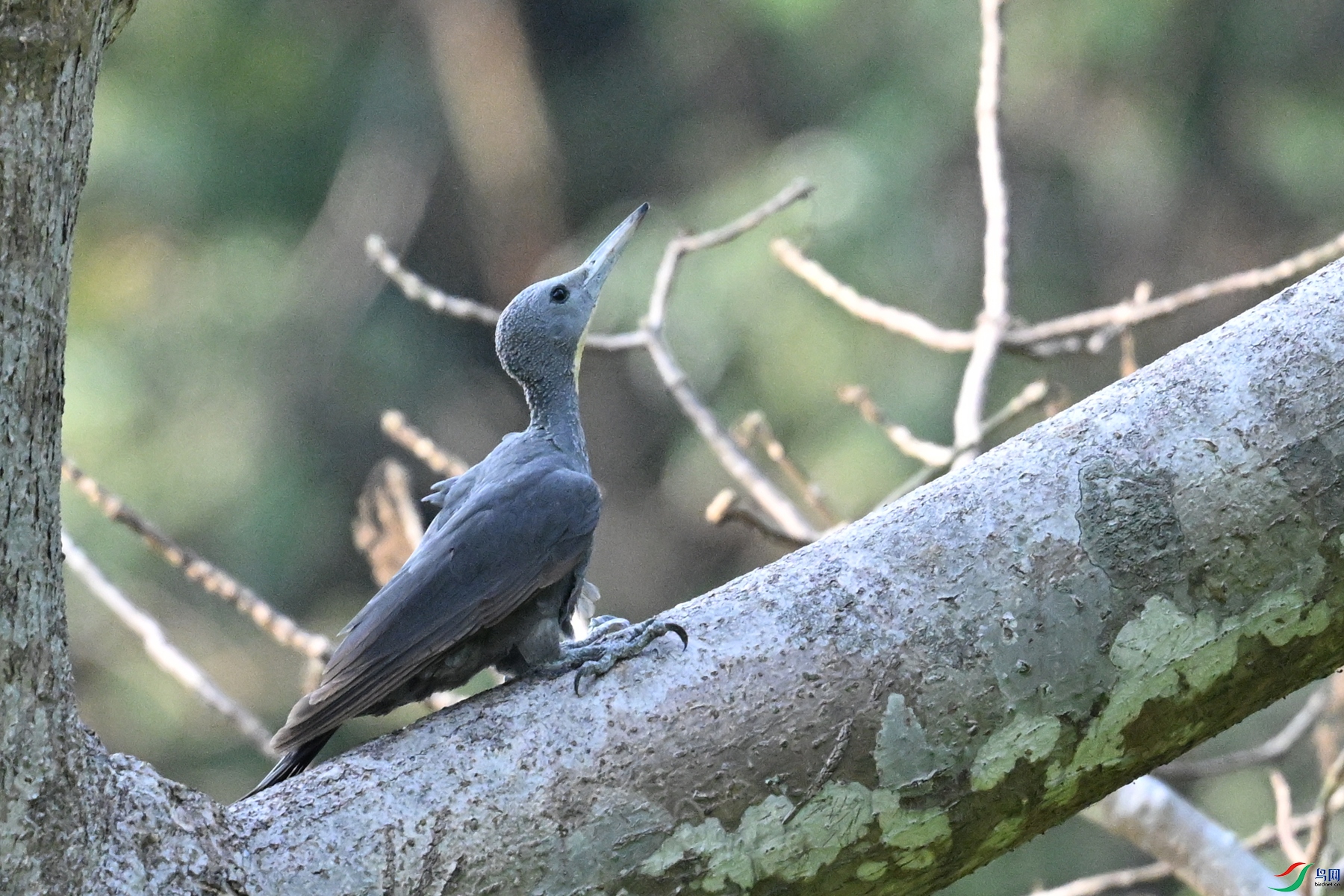 DSC_5321.JPG