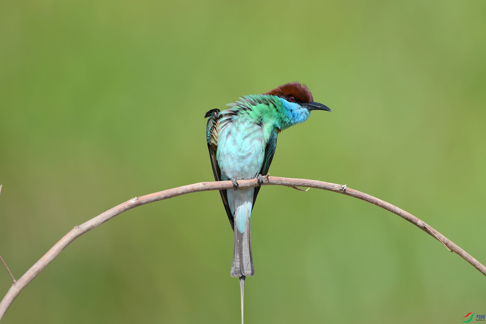 DSC_3711.jpg