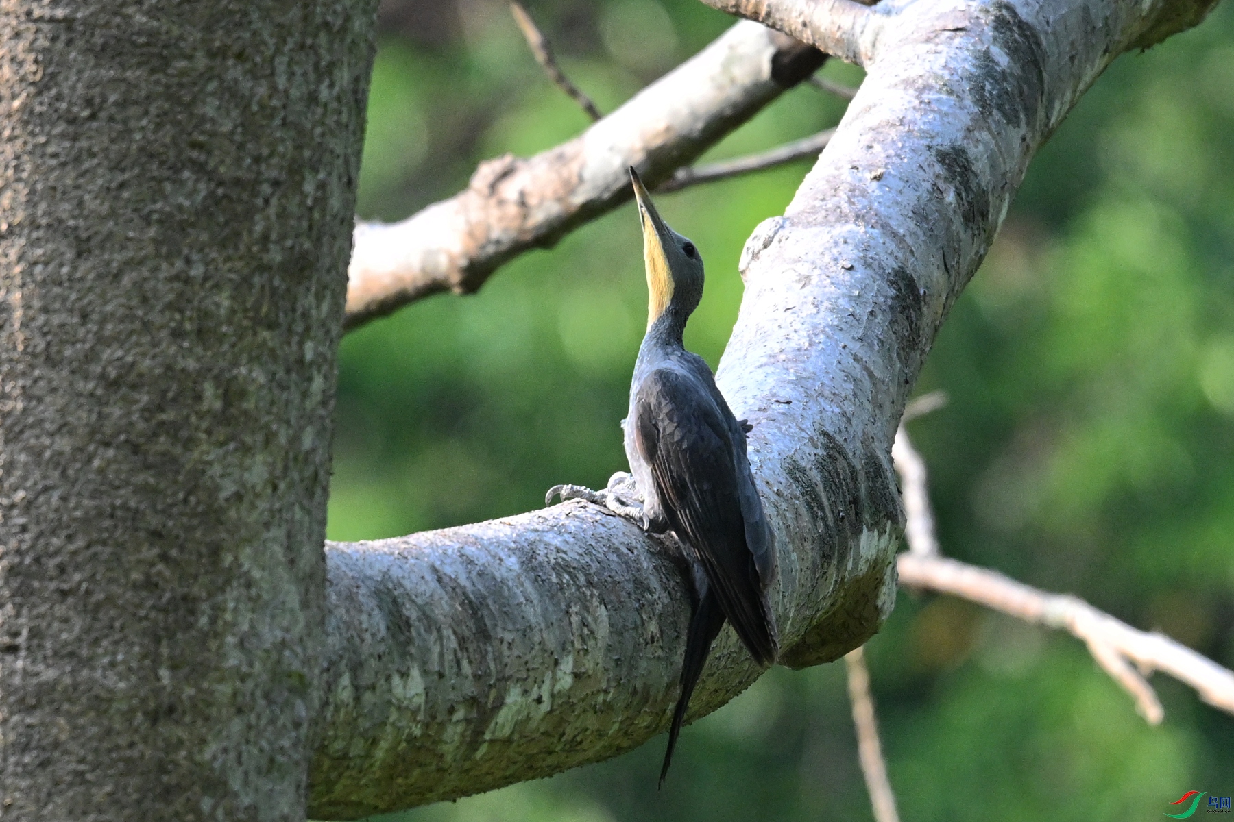 DSC_5304.JPG