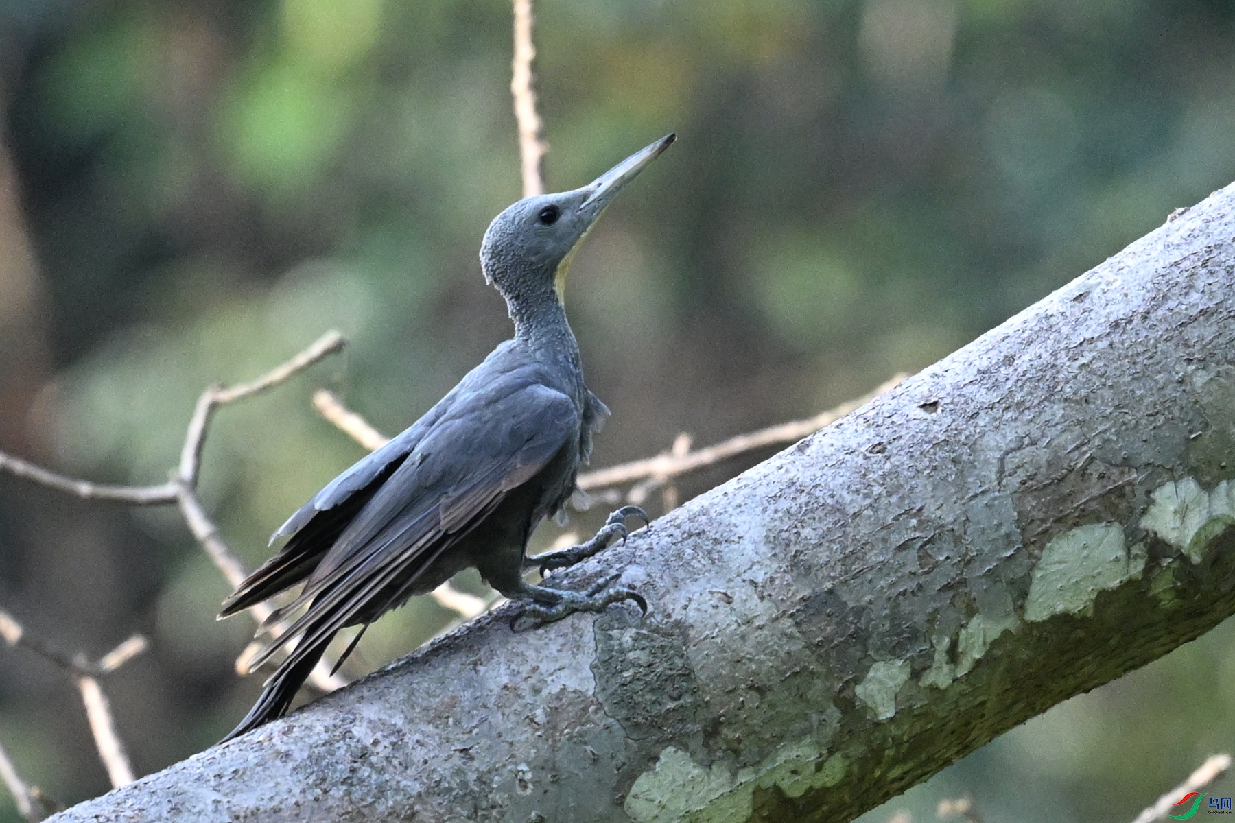 DSC_5323.JPG