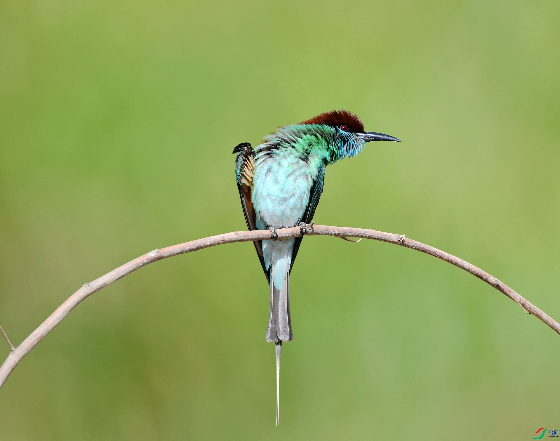 DSC_3704.jpg