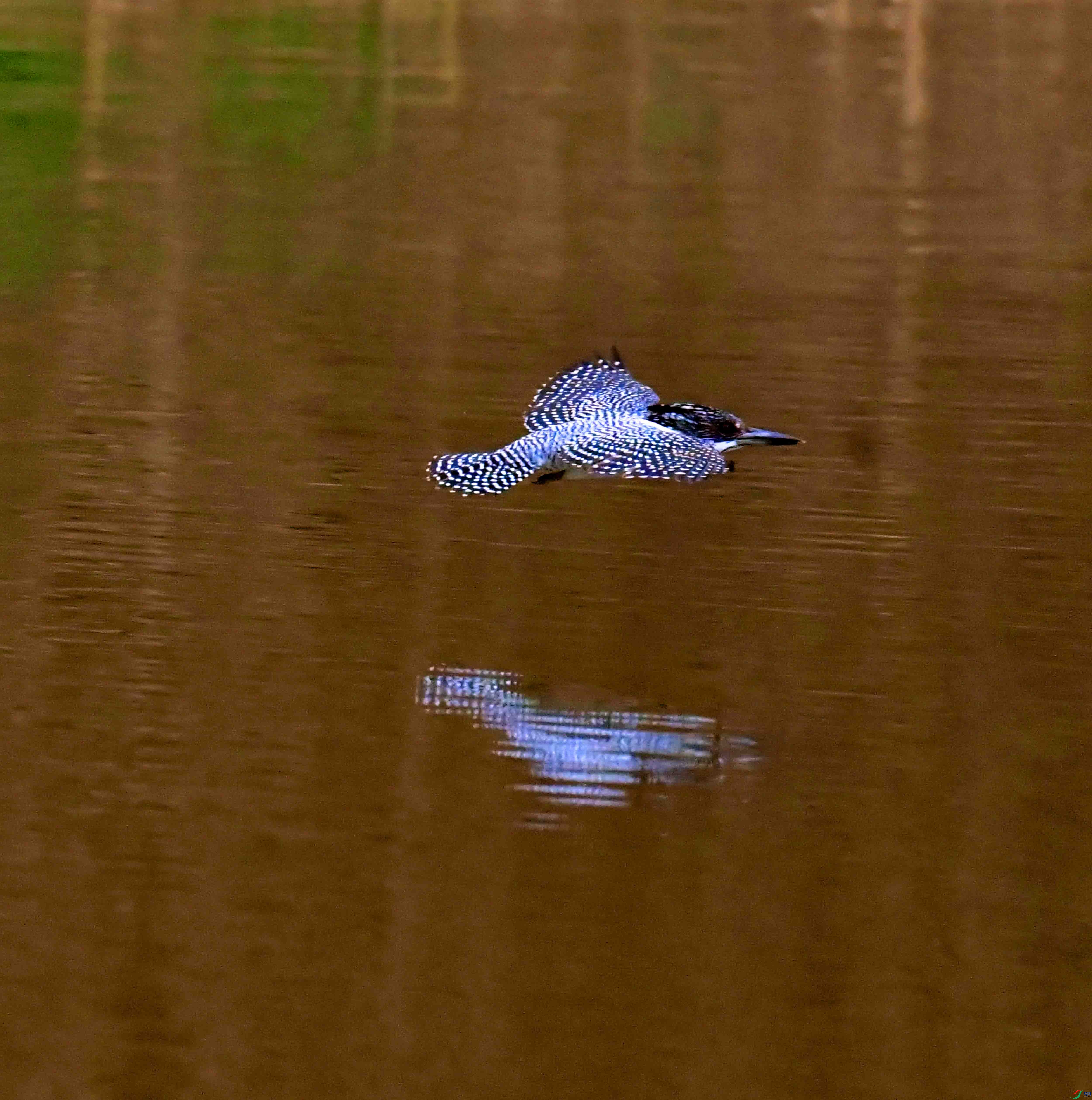 DSC_0589.JPG