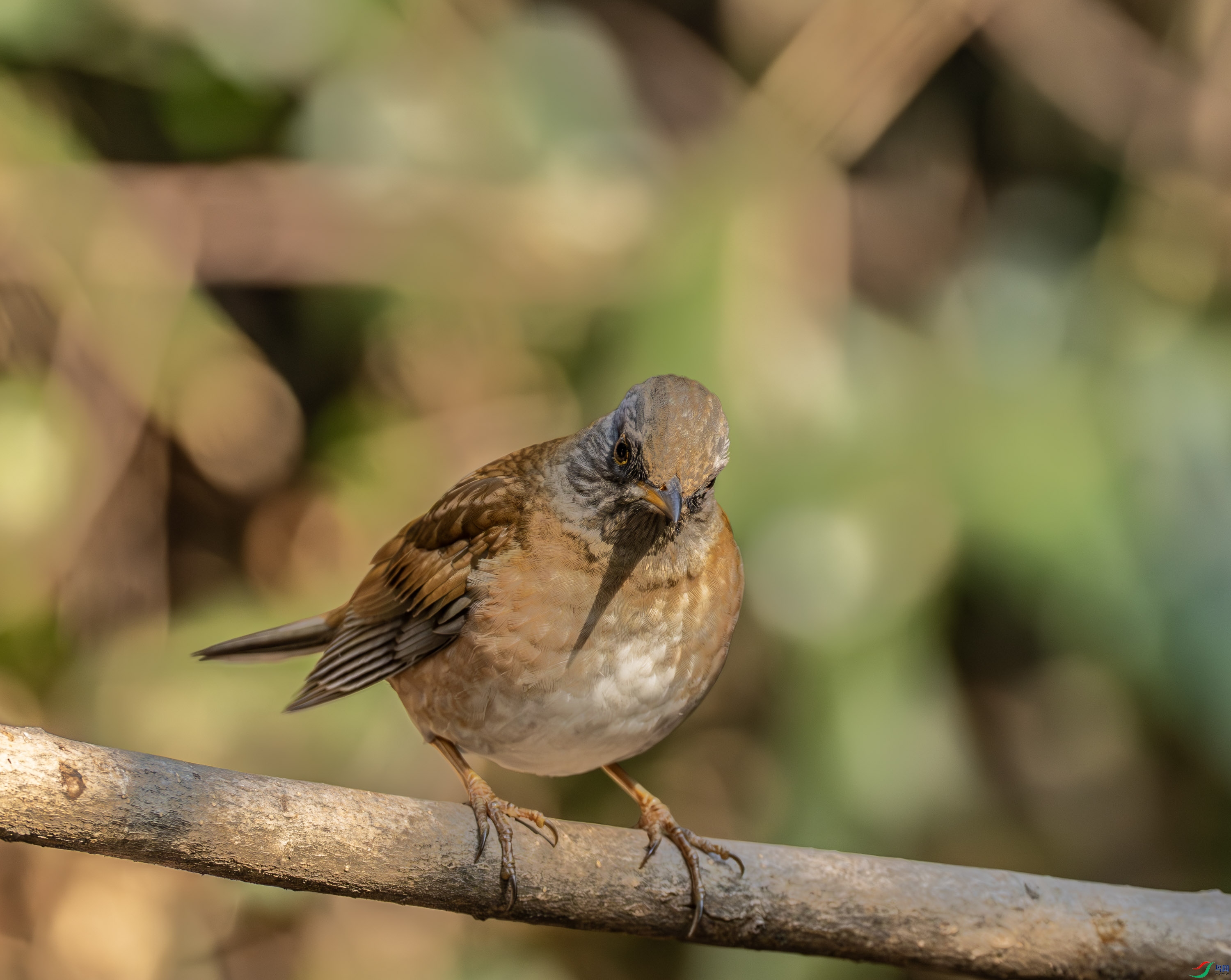 �׸��-03-9.jpg