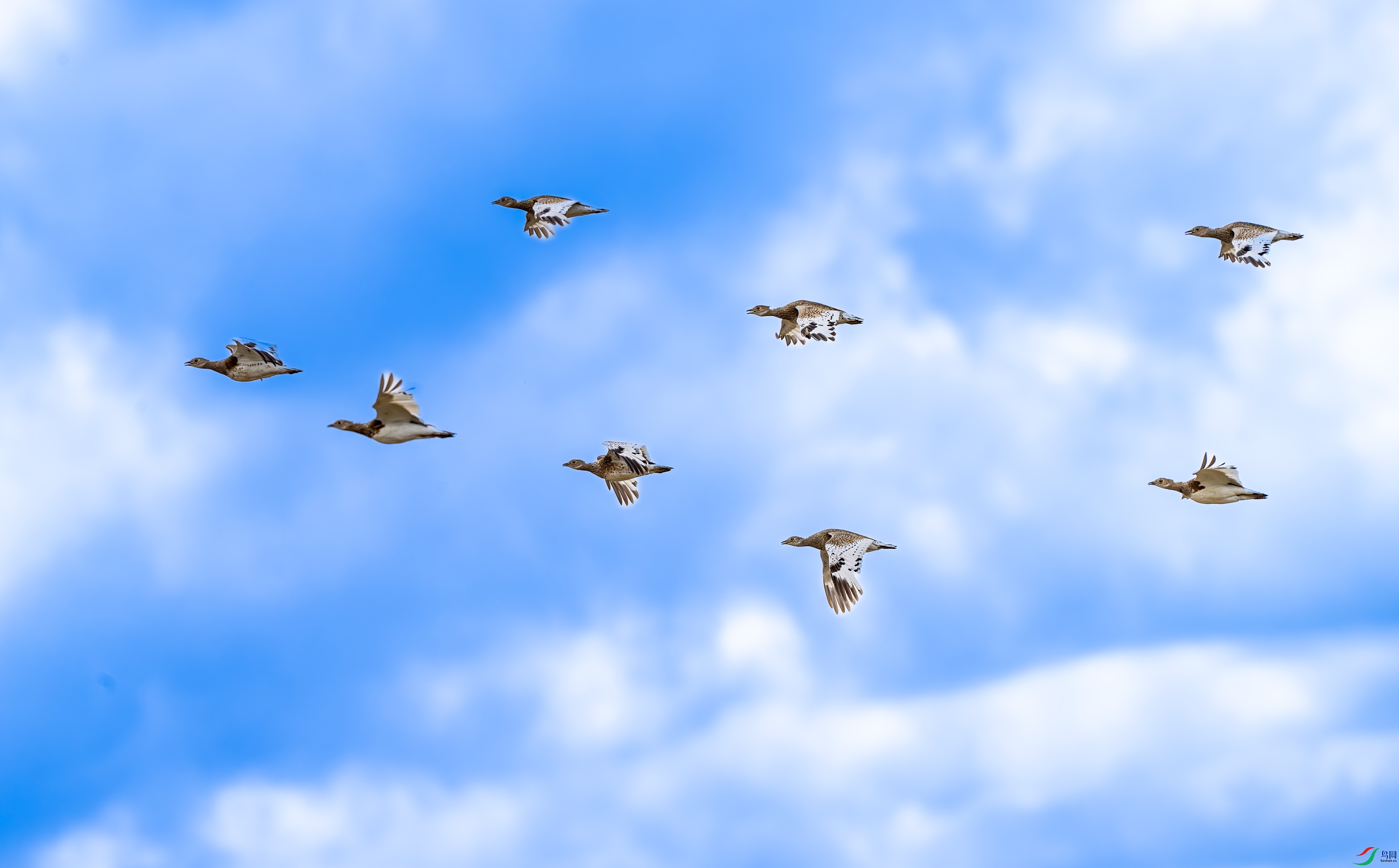 _DSC4531-����ǿ-NR.jpg
