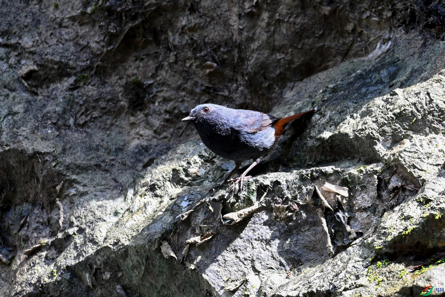 DSC_2234.JPG