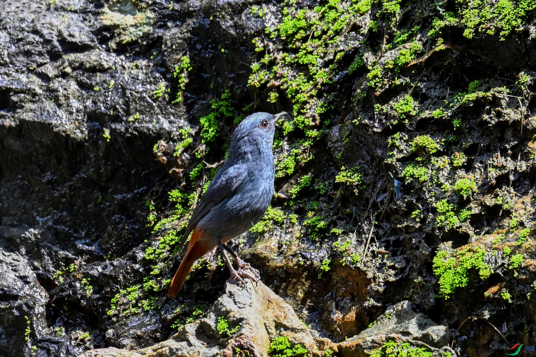 DSC_2248.JPG