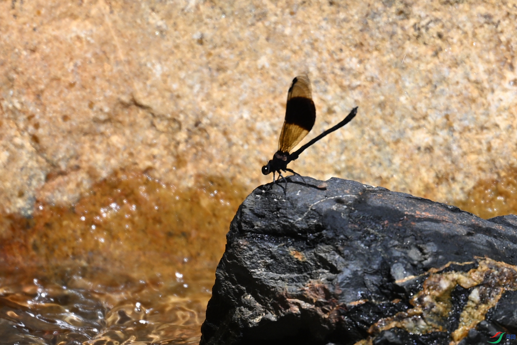 DSC_2230.JPG