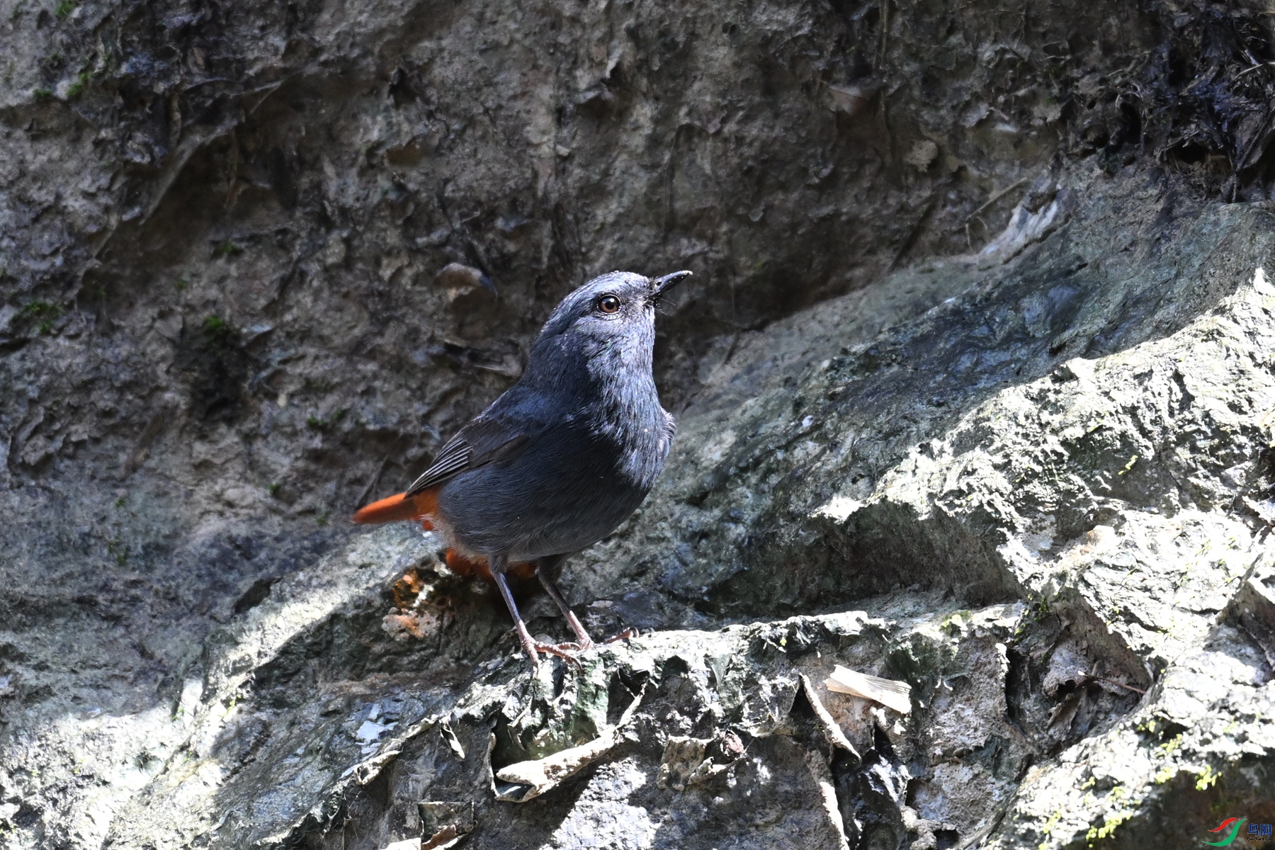 DSC_2236.JPG