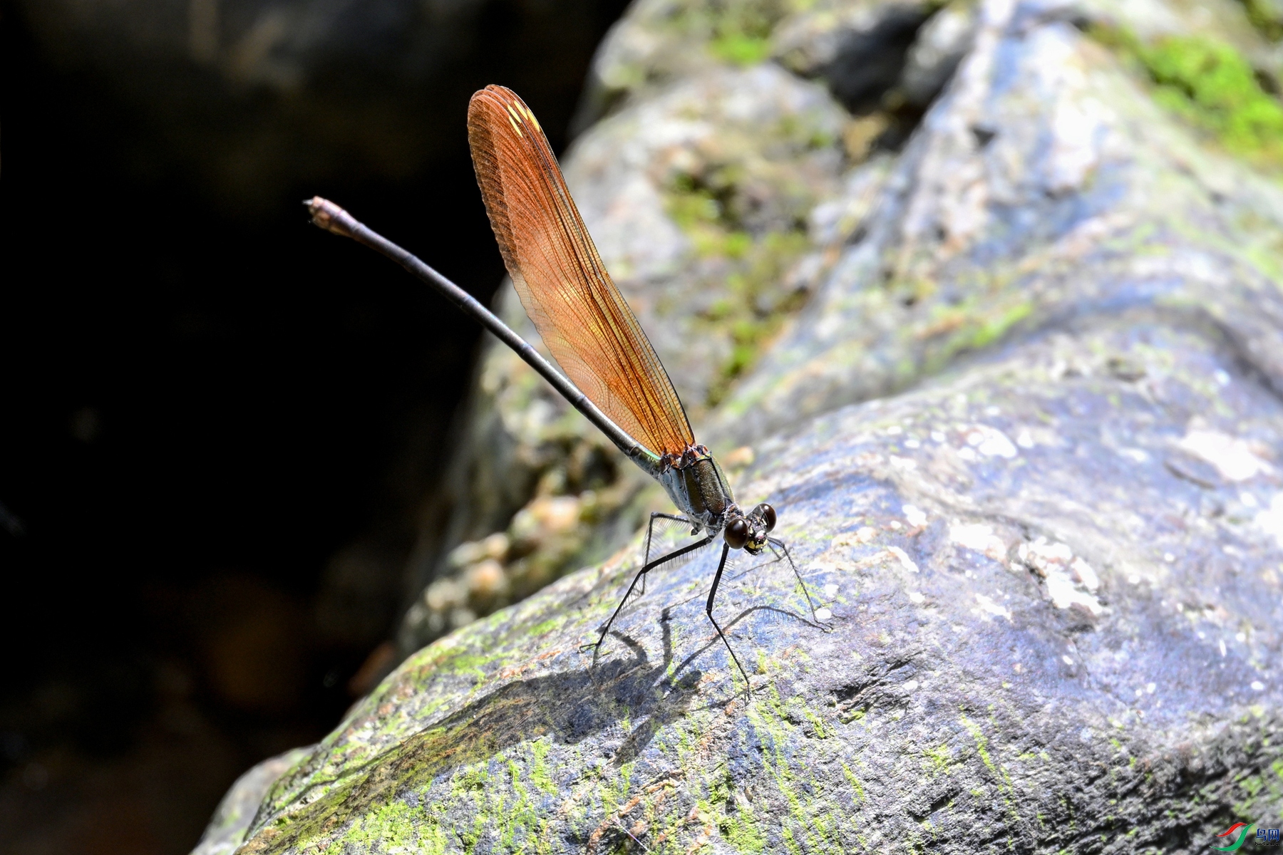 DSC_2263.JPG