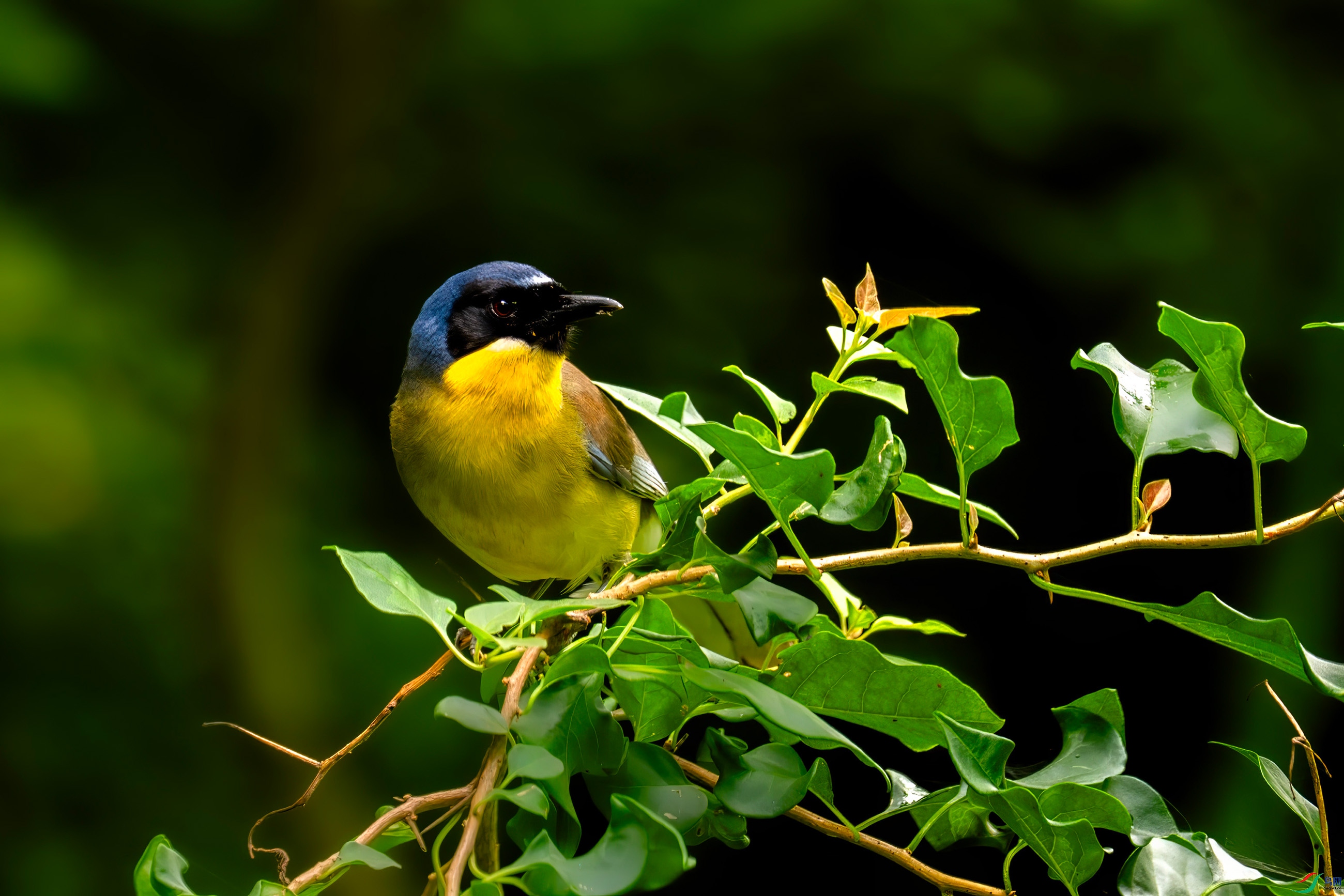 _DSC3678_.jpg