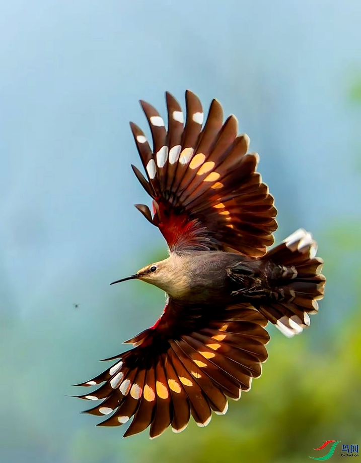 DSC08380-_����.jpg