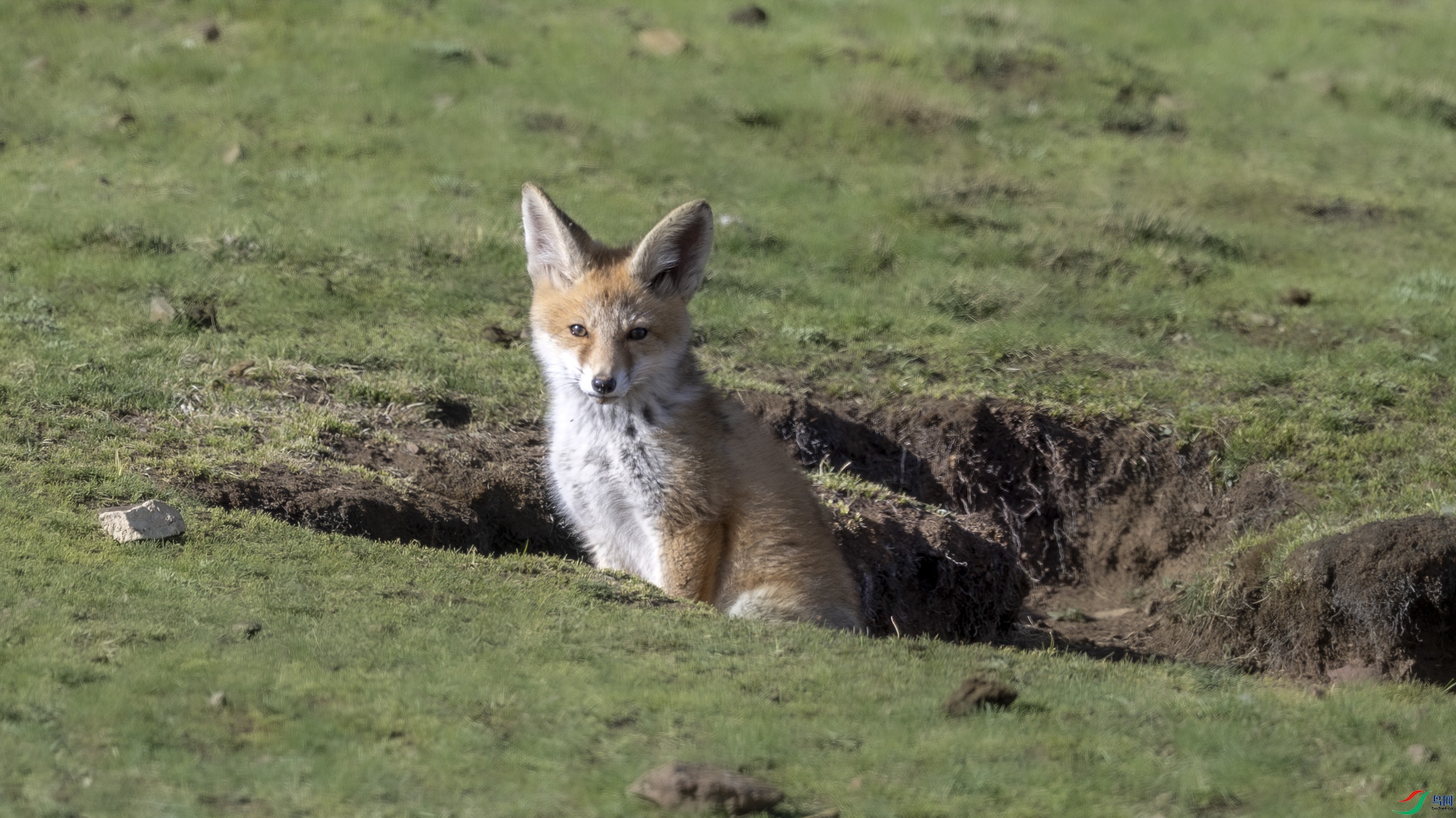 DSC_4679.JPG