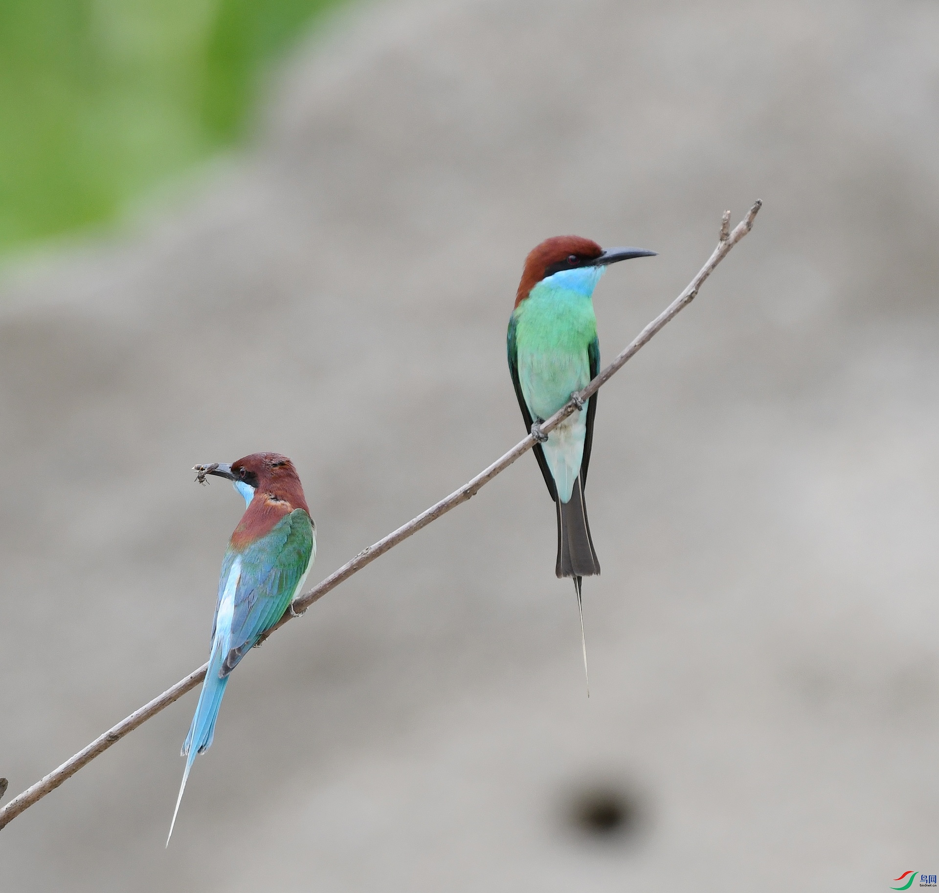DSC_4432.jpg