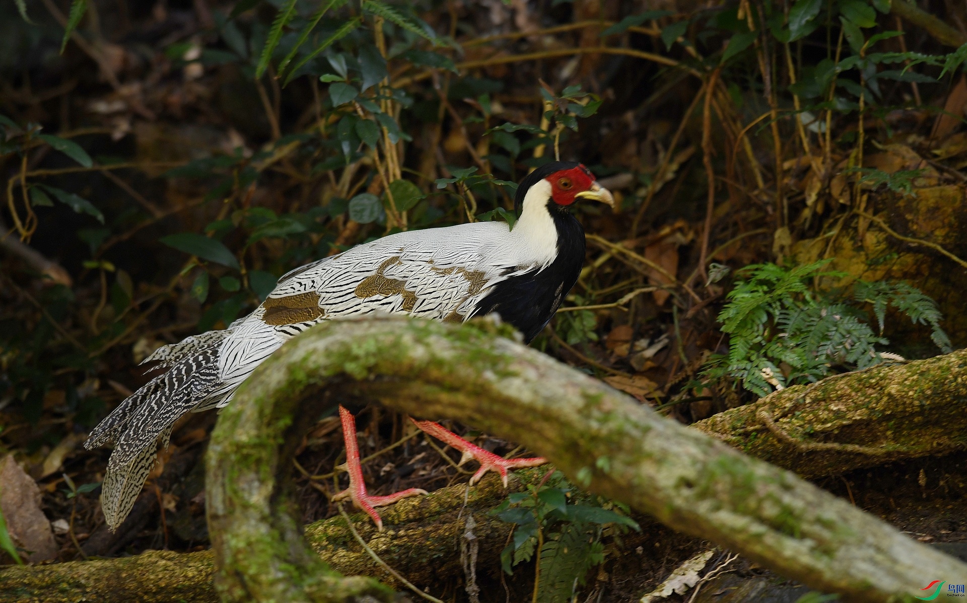 DSC_2140.jpg