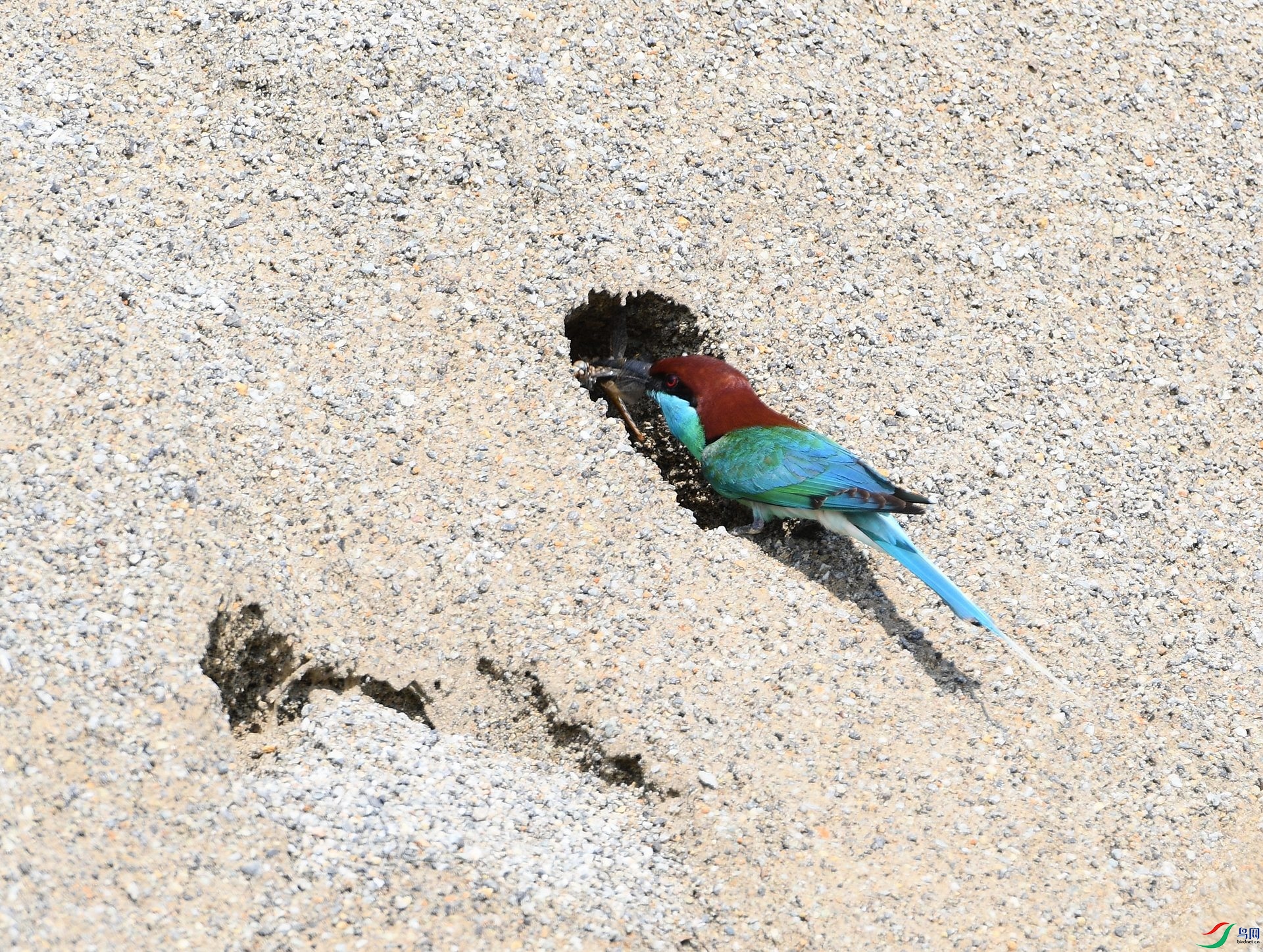 DSC_2117.jpg
