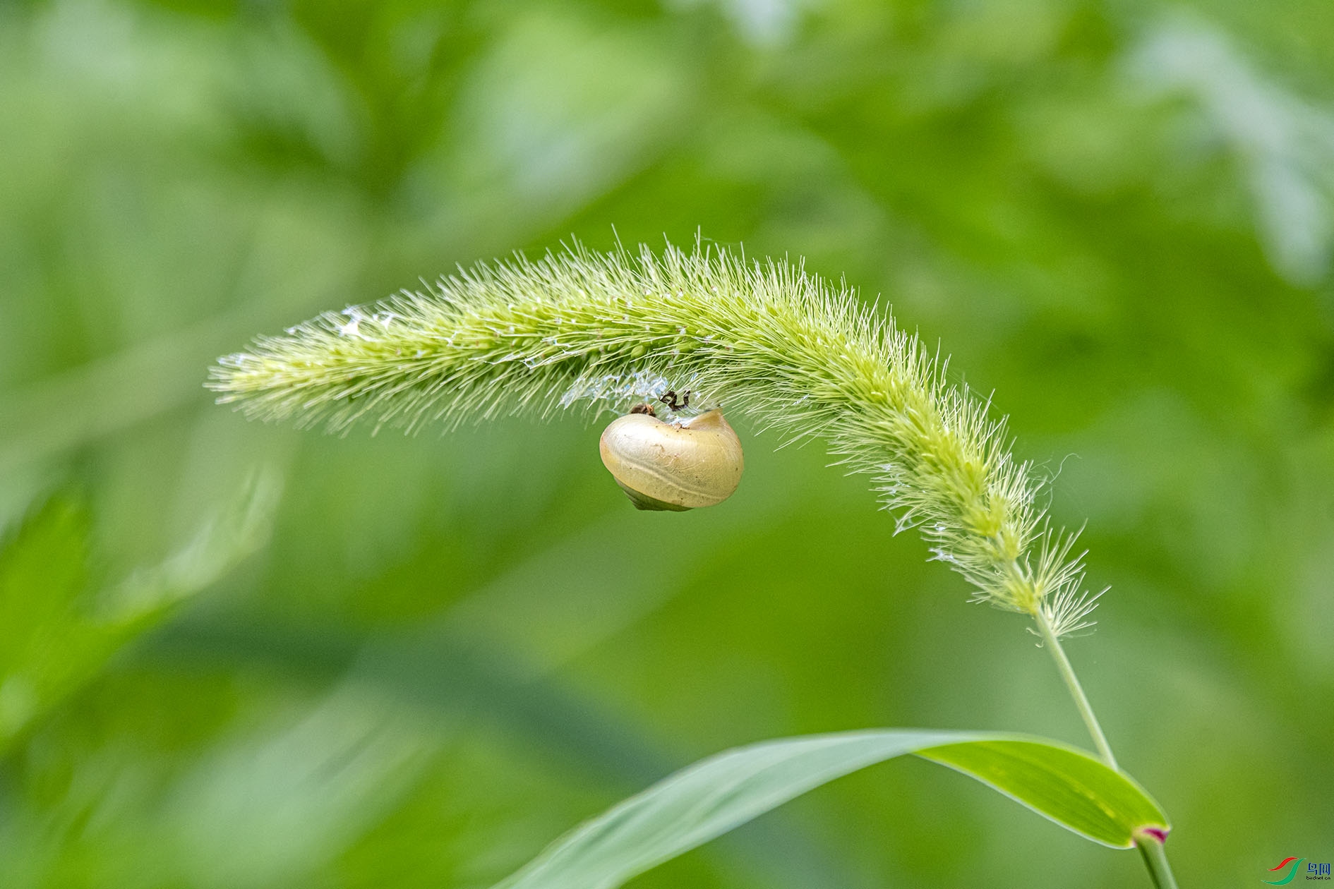 DSC_9630_��ͼ�� ����.jpg