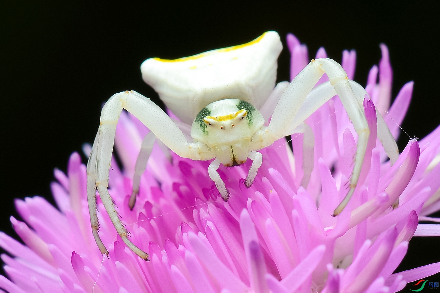 DSC_9144--.jpg