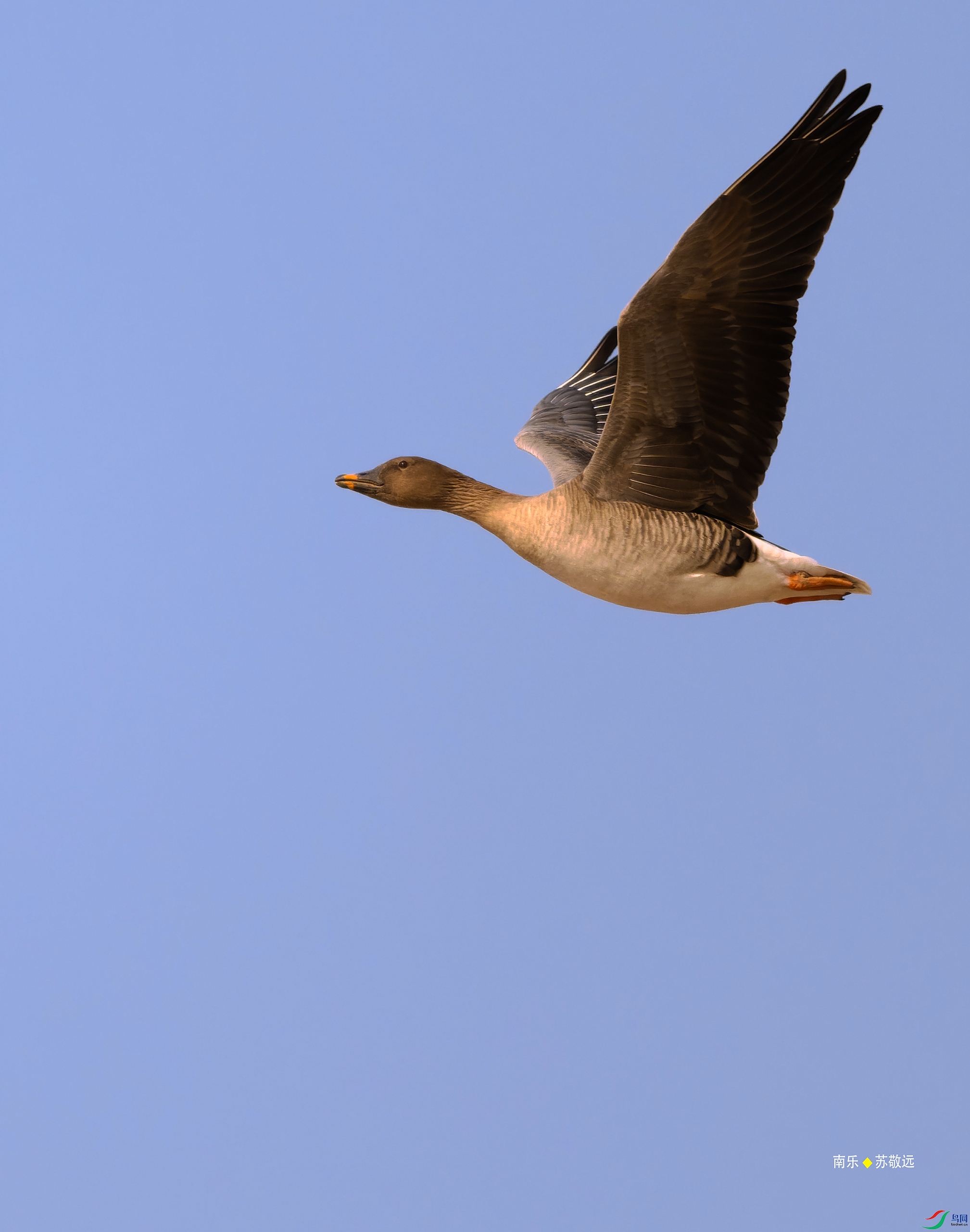 _DSC2336-DxO_С.jpg