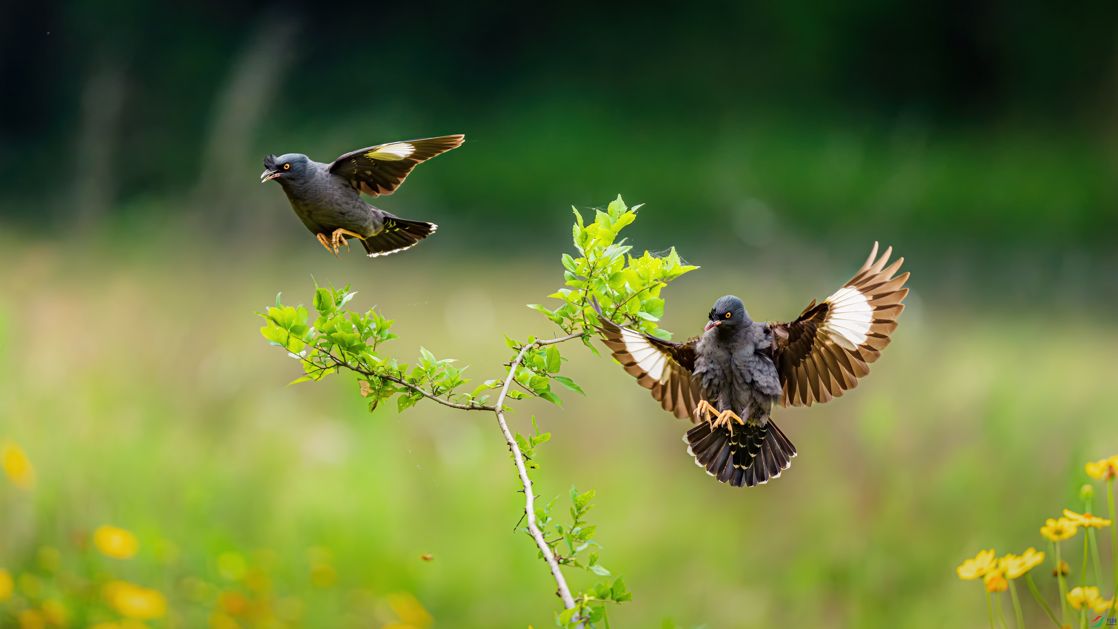 ��DSC09938.jpg