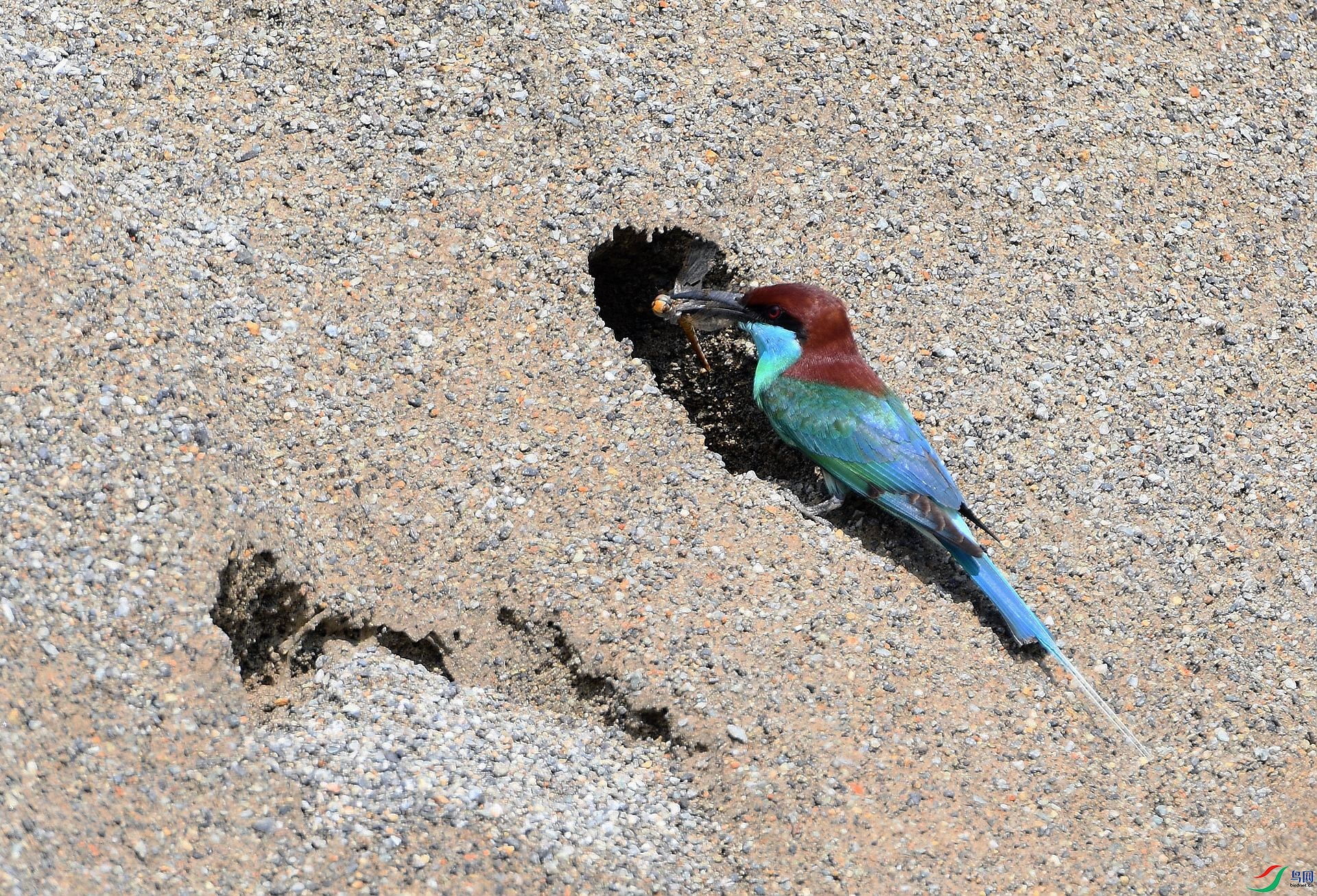 DSC_2112.jpg