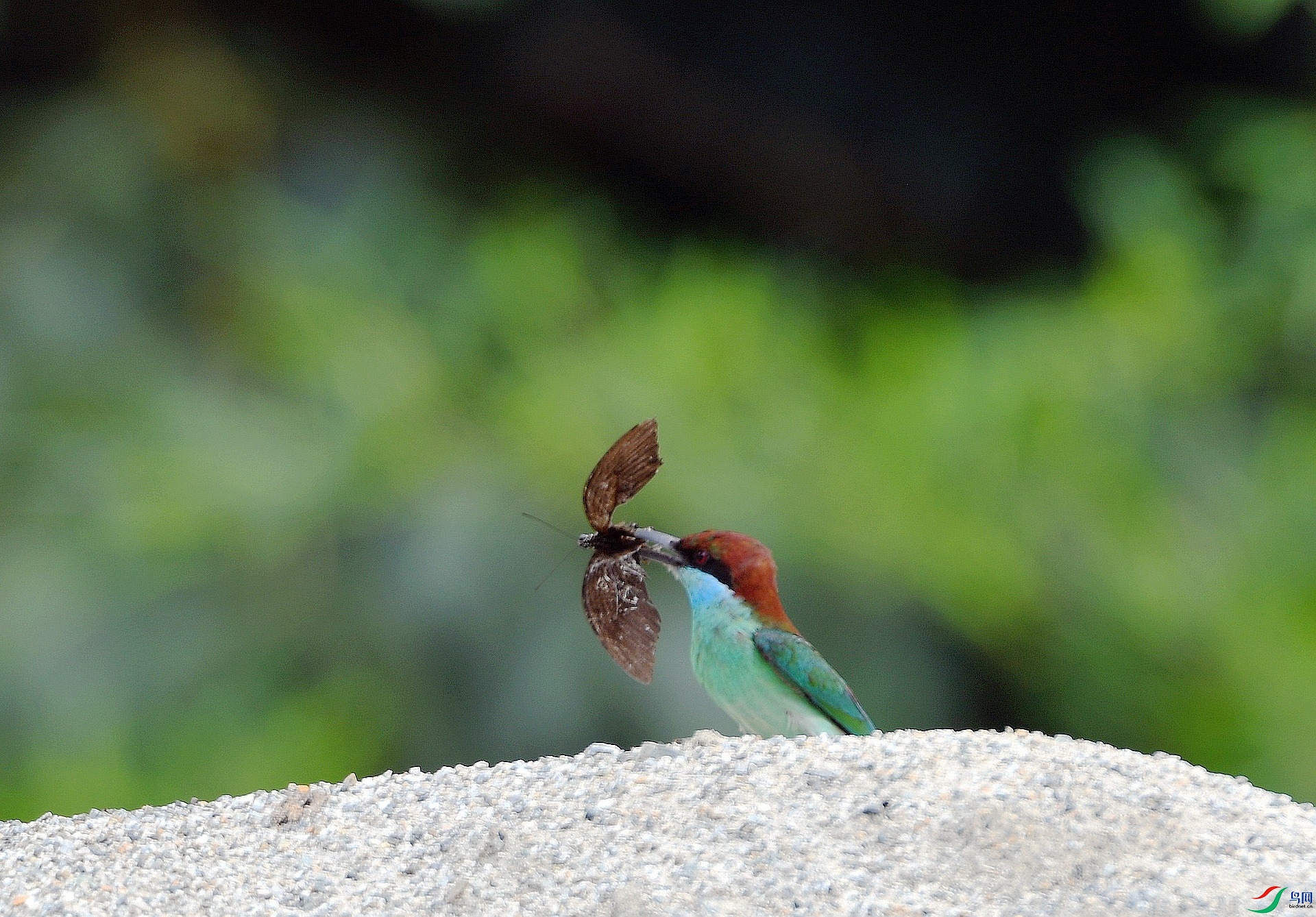 DSC_0256.jpg