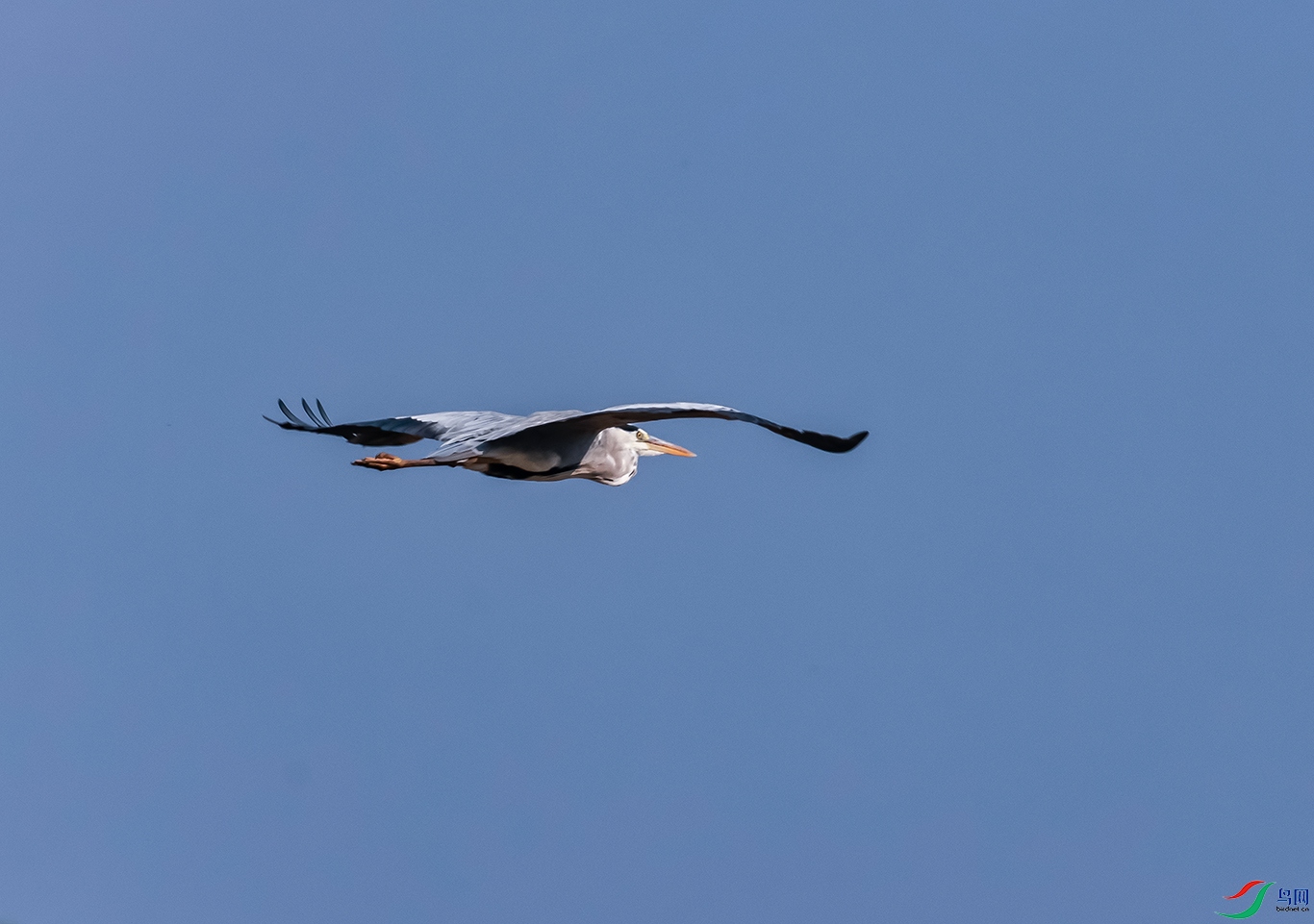 0J2A0622-0.jpg