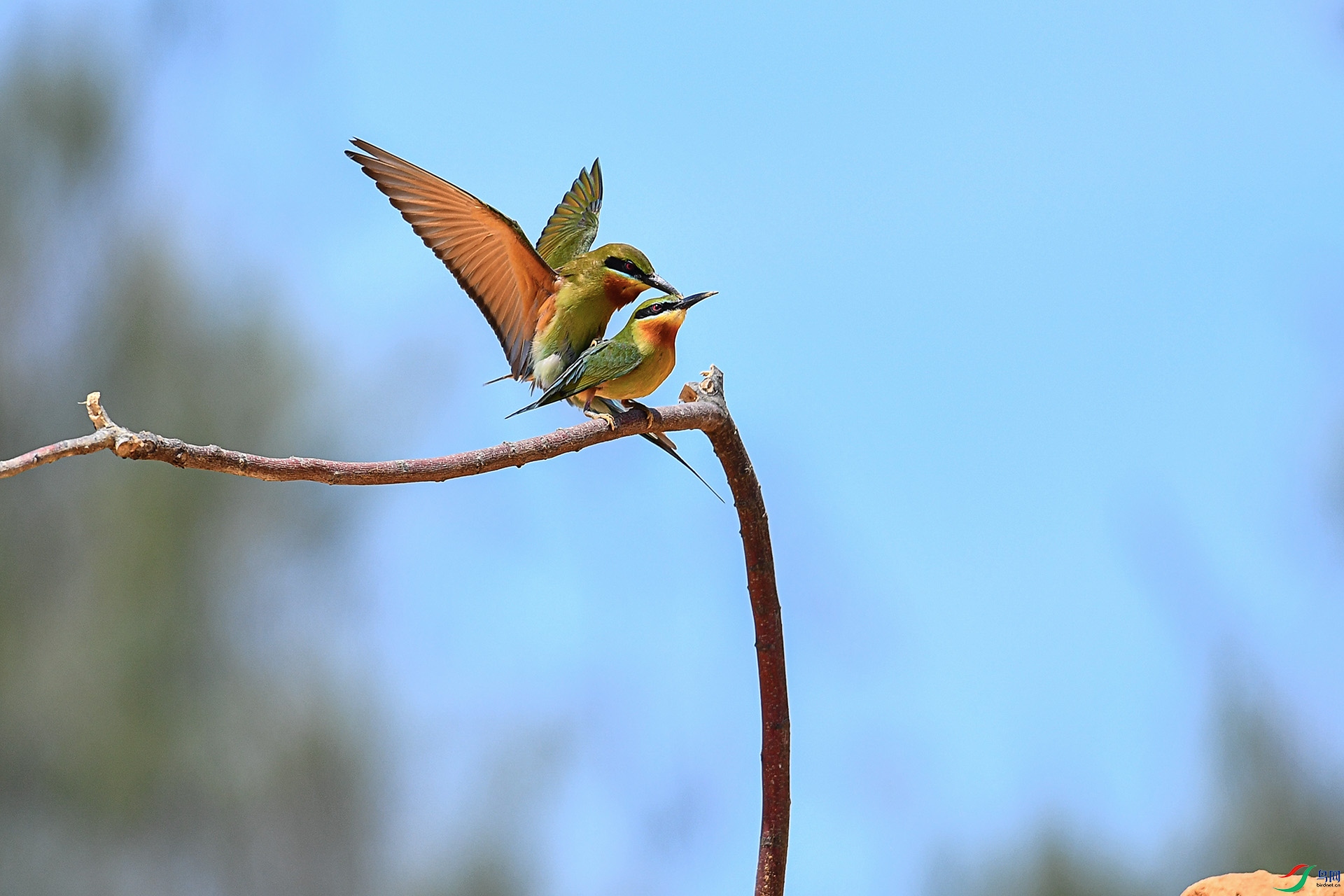 AAA_6782-8.jpg