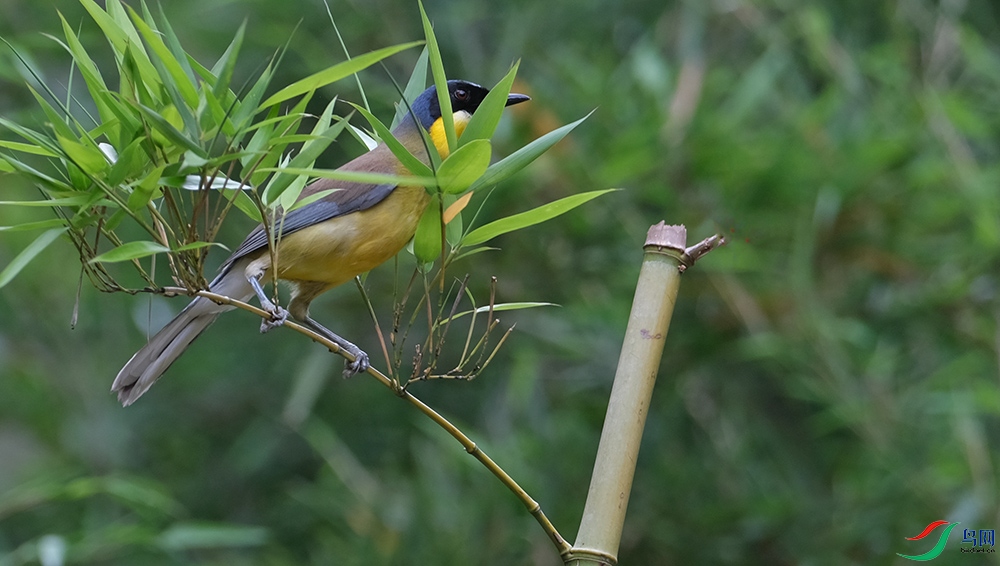 DSCF6858.1.jpg