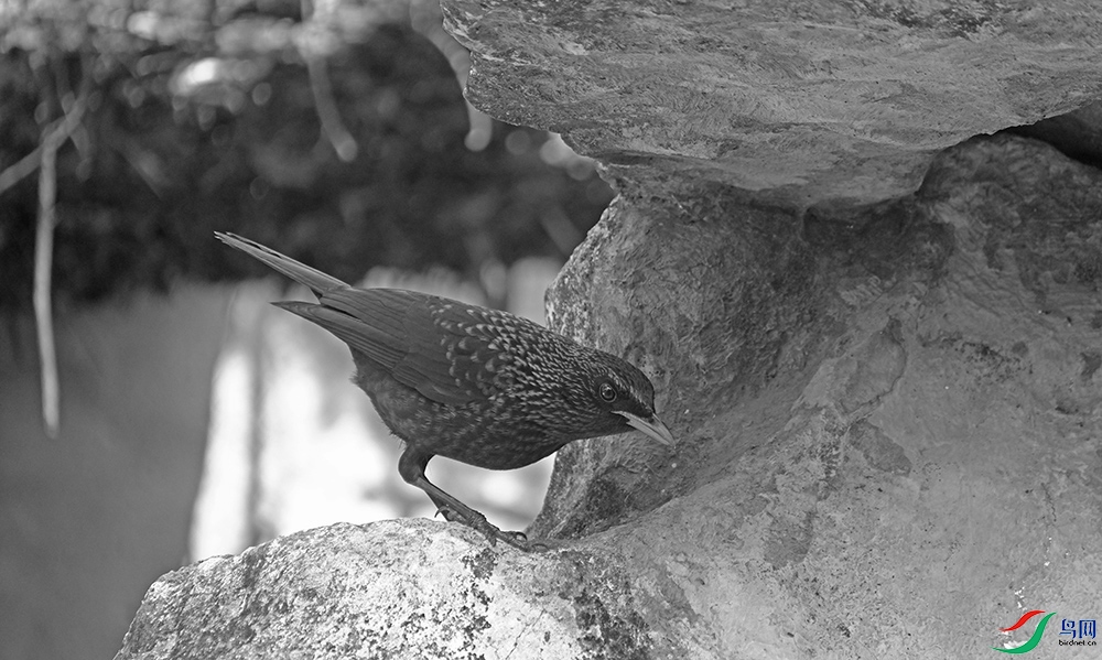DSCF9860.1.jpg
